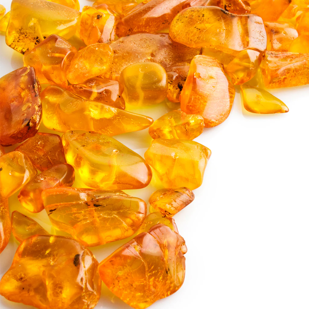 Amber Fragrance Oil (Special Order)