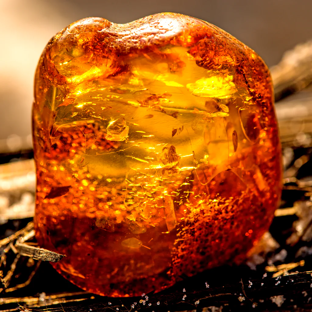 Amberwood Fragrance Oil (Special Order)