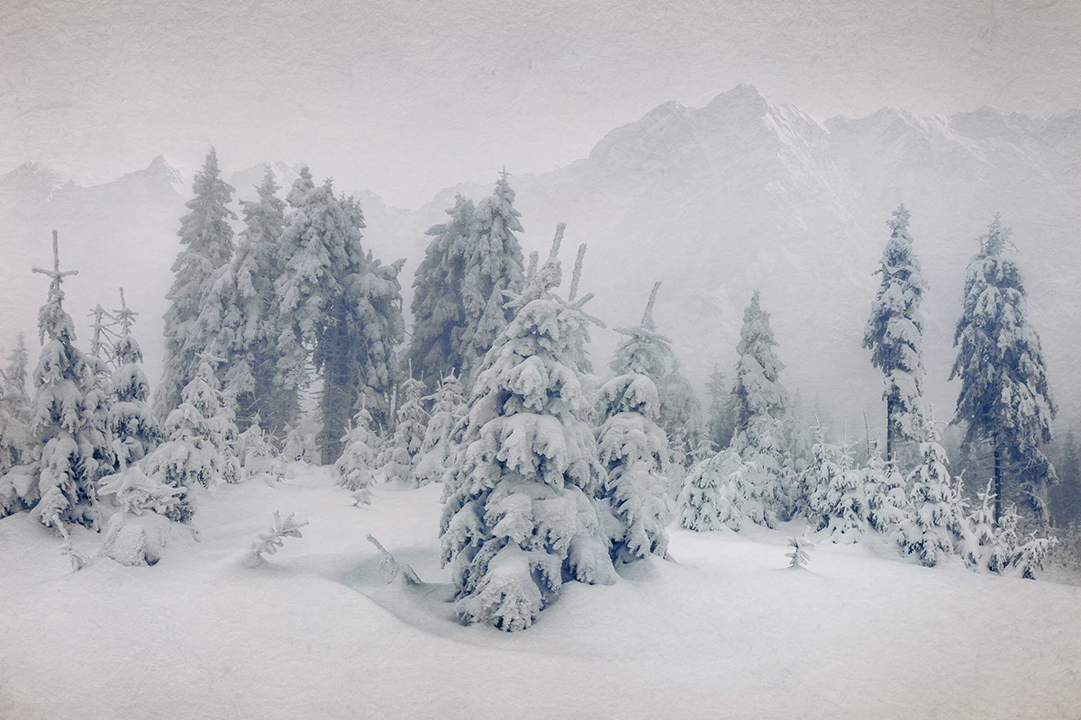 Arctic Night Fragrance Oil 14933