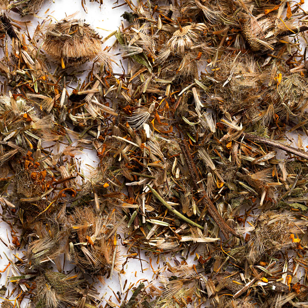 Arnica Flowers