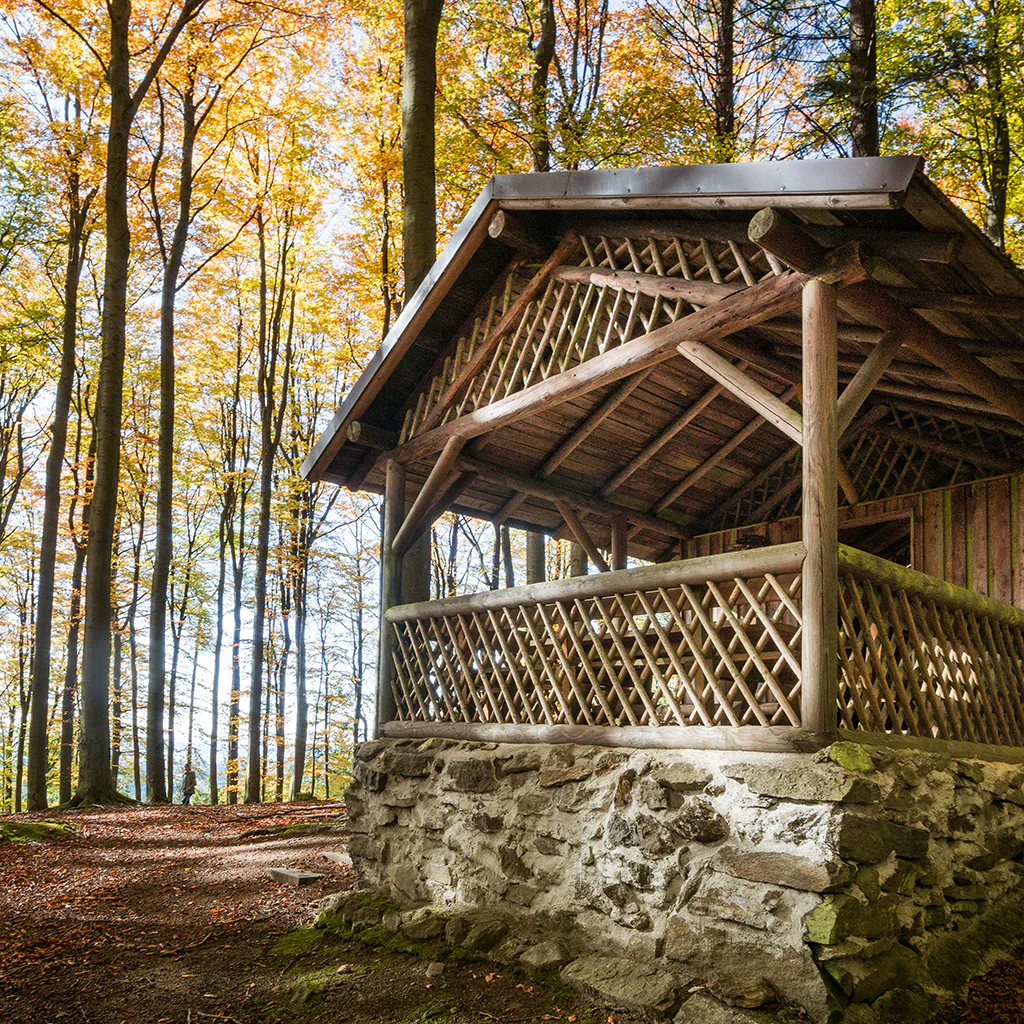 Autumn Lodge* Fragrance Oil 401