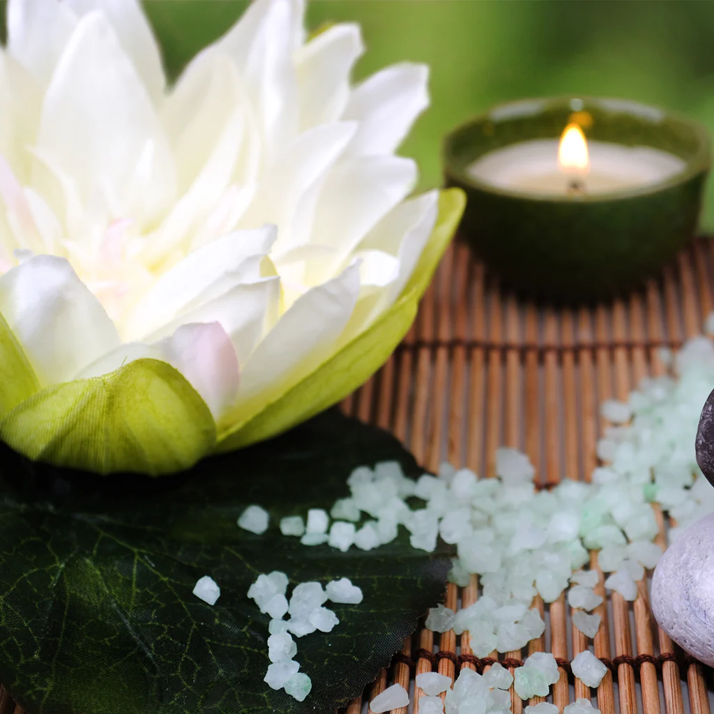 Bamboo Lotus Fragrance Oil 117