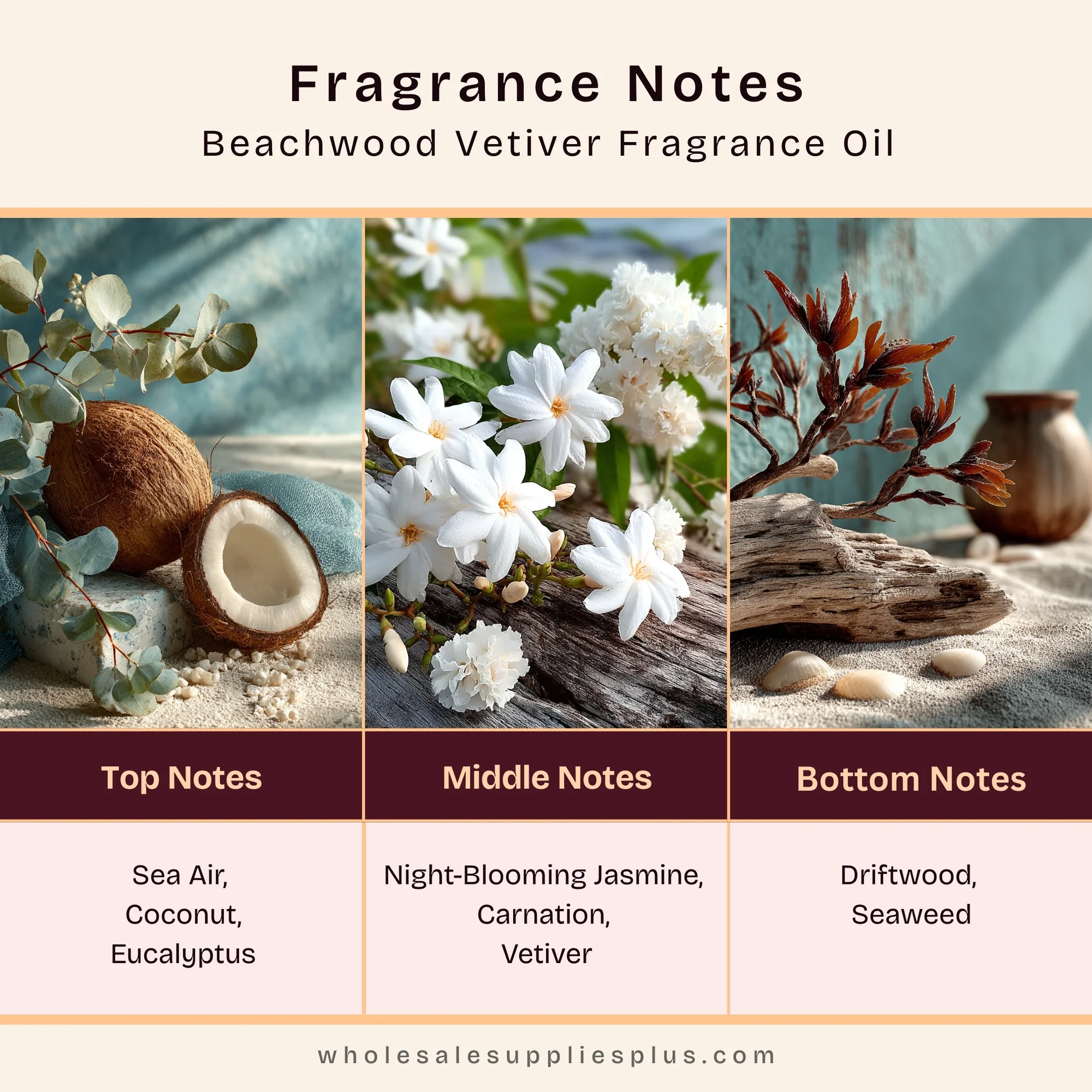 Beachwood Vetiver Fragrance Oil 15014 - Image 2