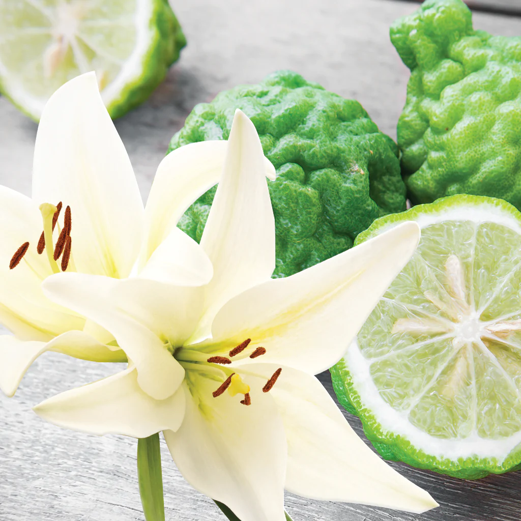 Bergamot & Lily - Natural Fragrance Oil (SO)