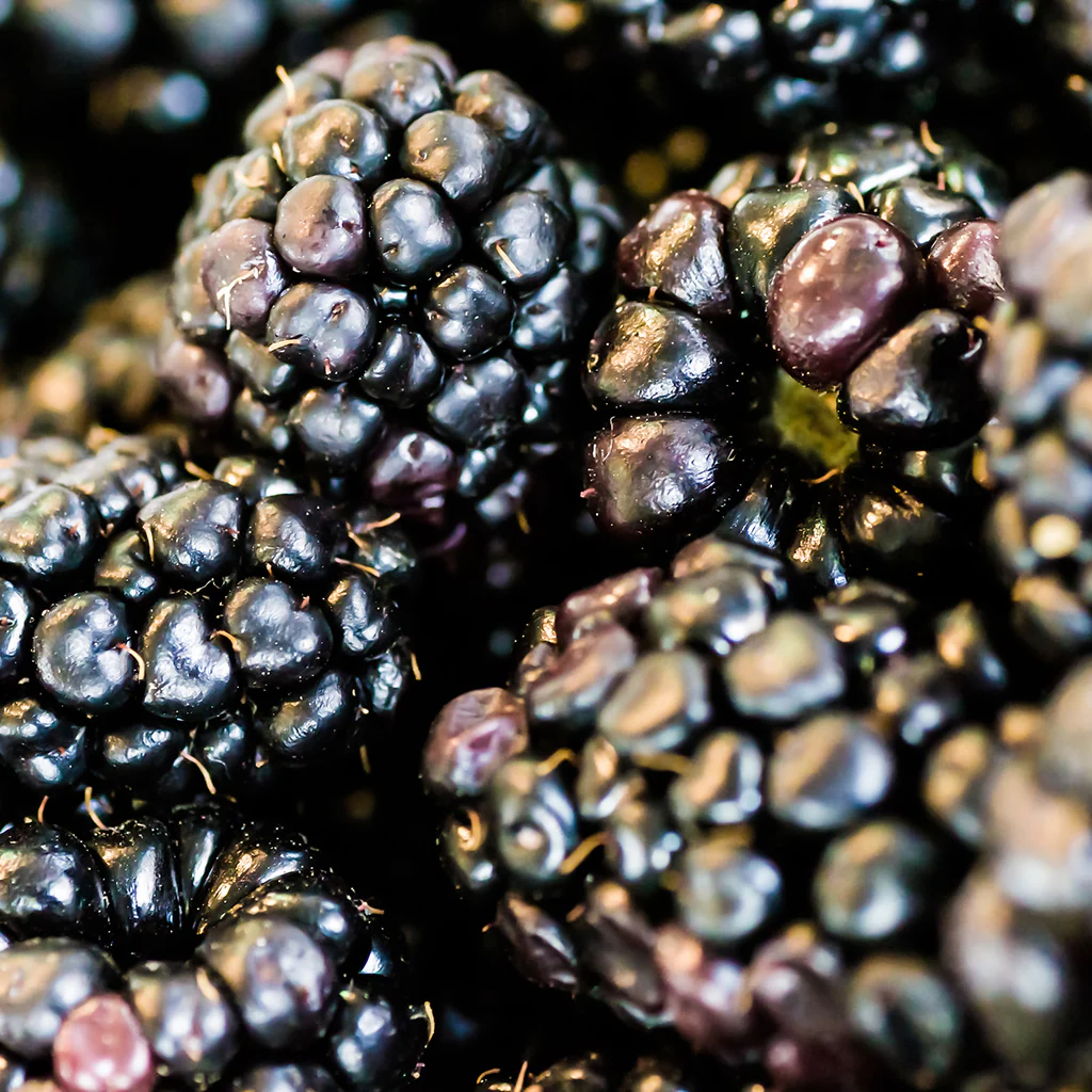 Blackberry Amber* - EO & FO Blend 825