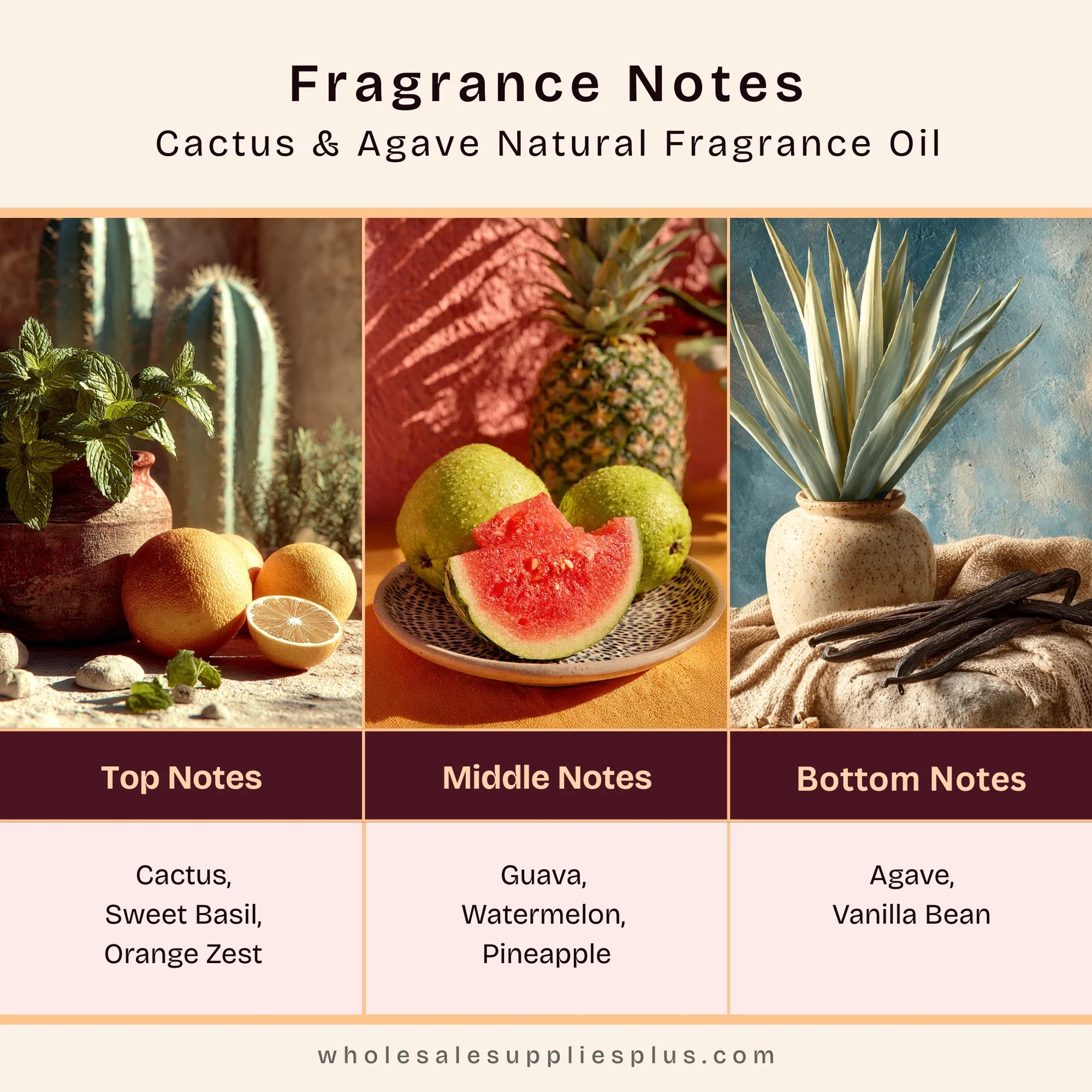 Cactus & Agave - Natural Fragrance Oil 1094 - Image 2