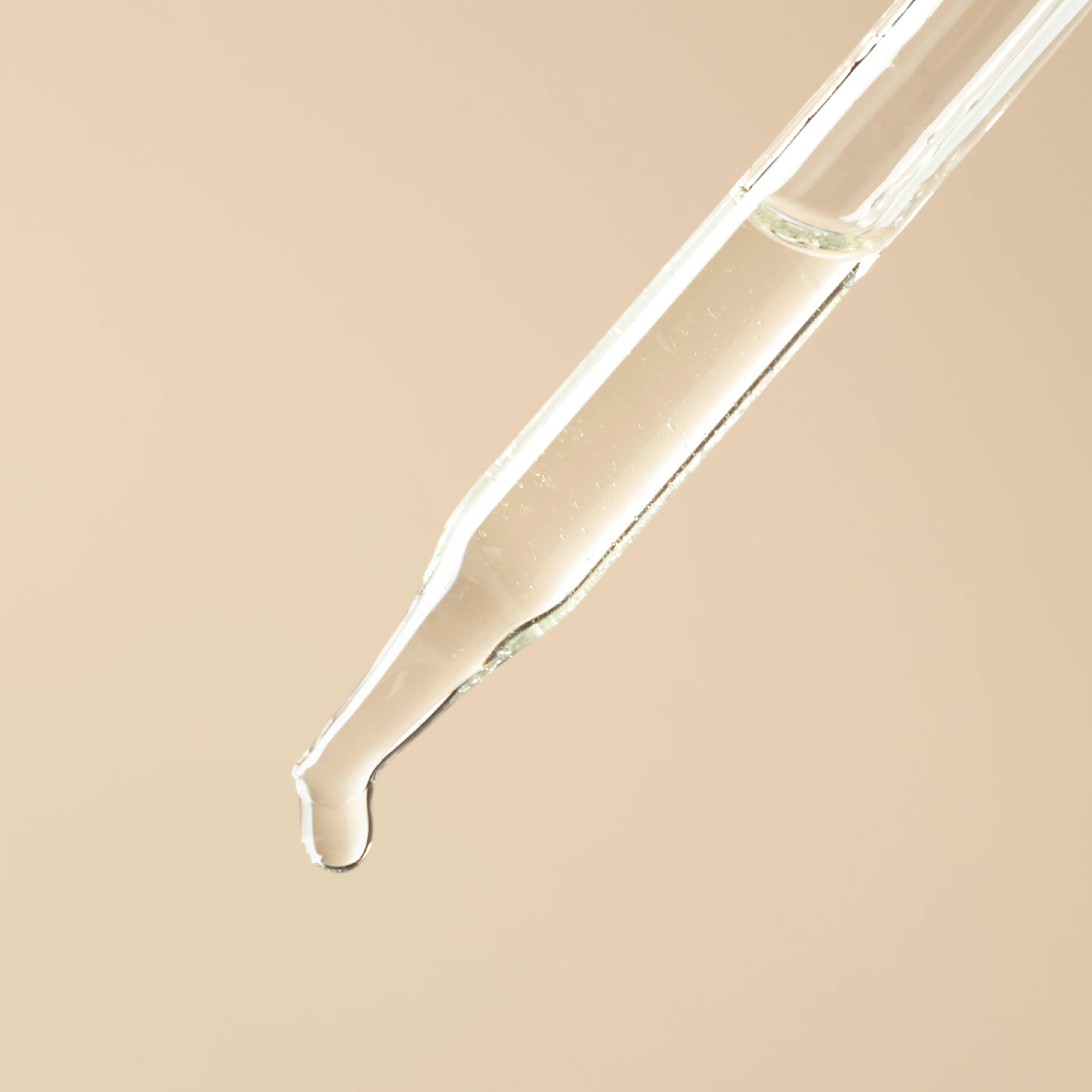 Canola Oil - Image 2