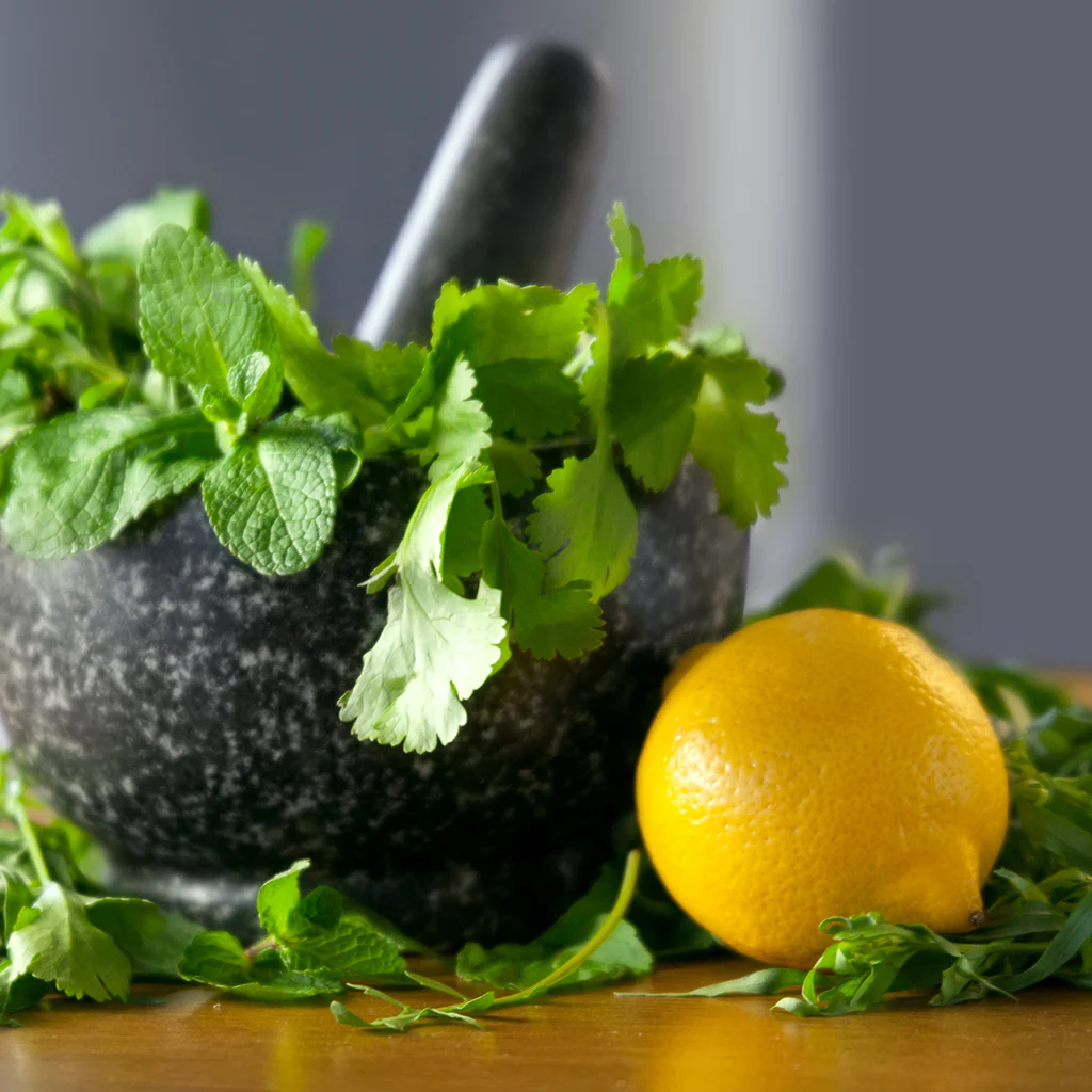 Citrus Cilantro* Fragrance Oil 548