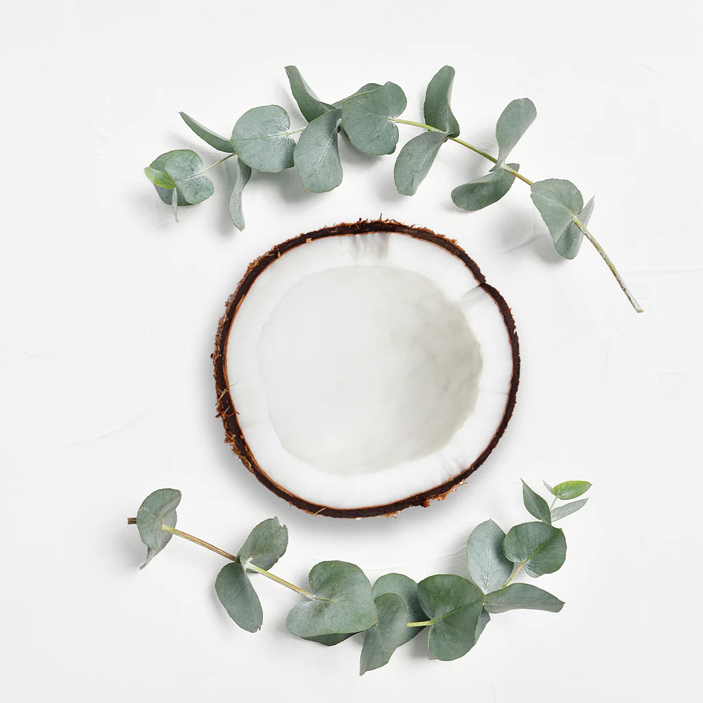 Coconut Eucalyptus* Fragrance Oil (Special Order)