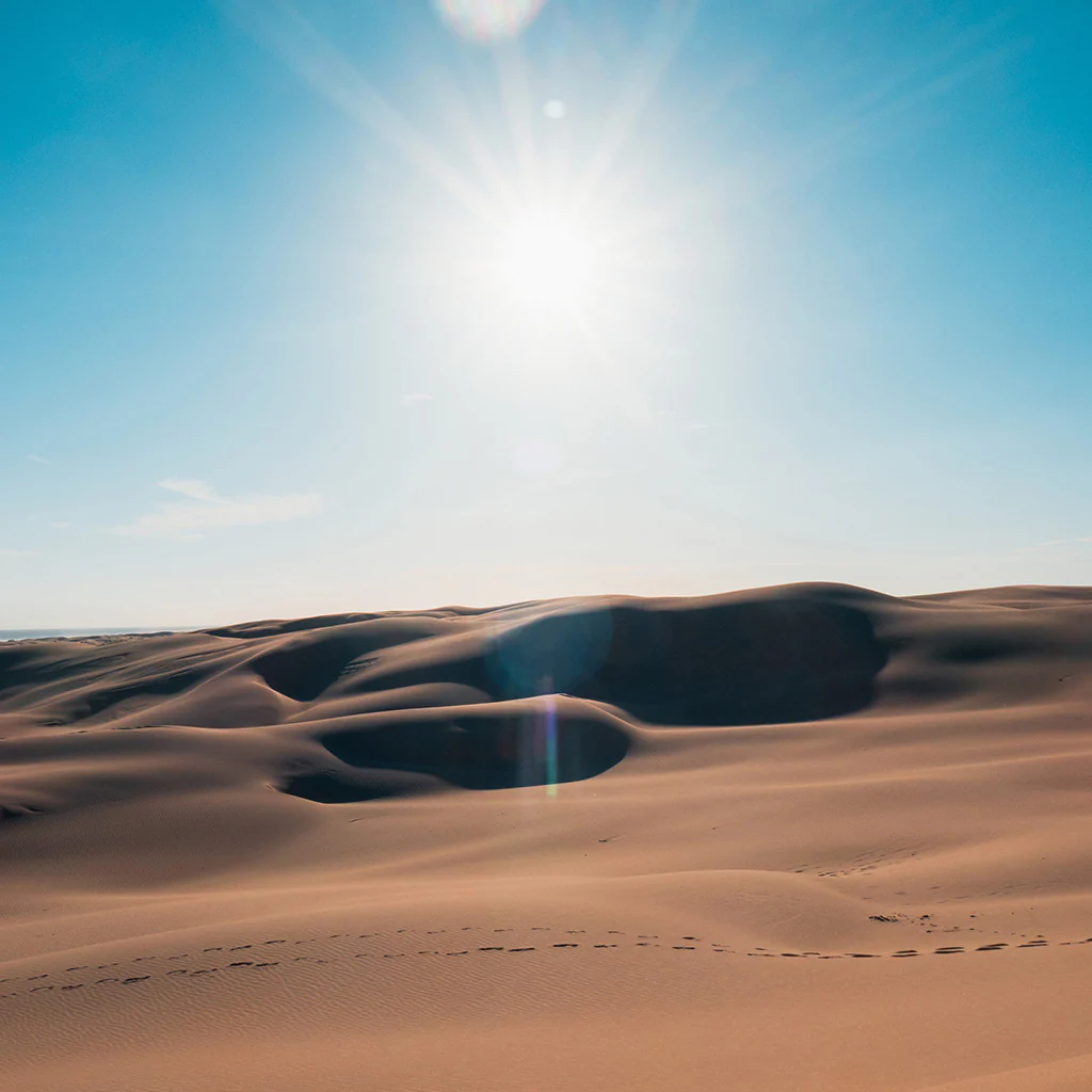 Desert Santal Fragrance Oil 326