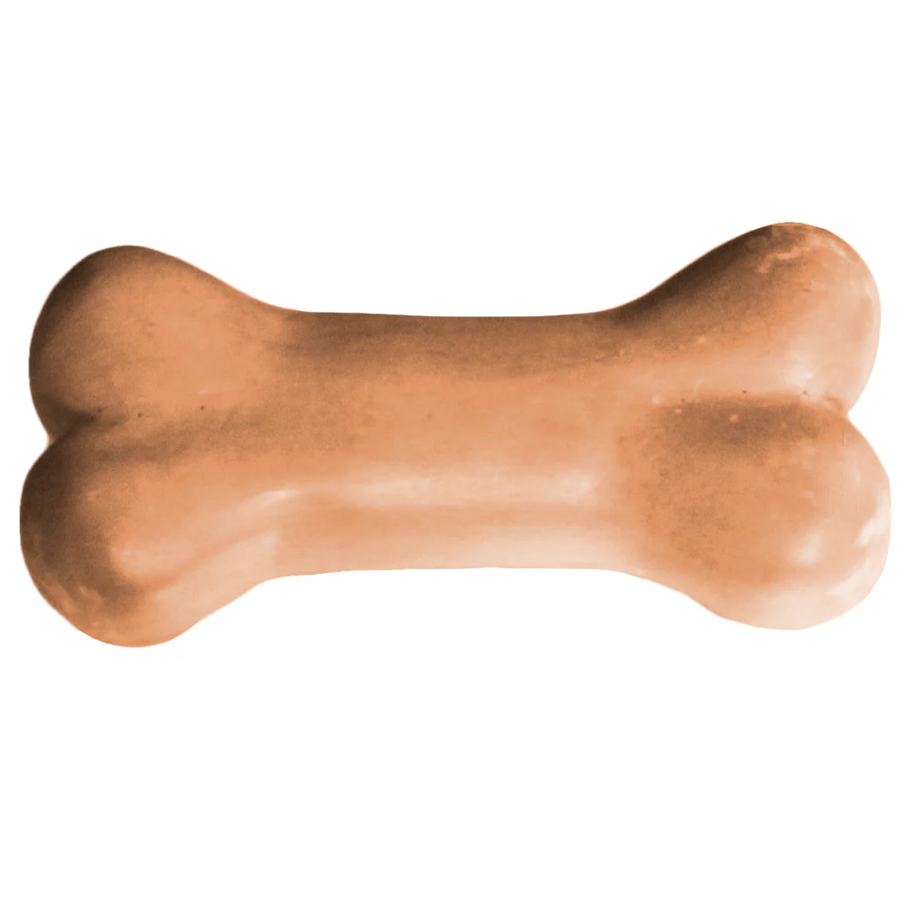 Dog Bone Soap Mold (MW 19)