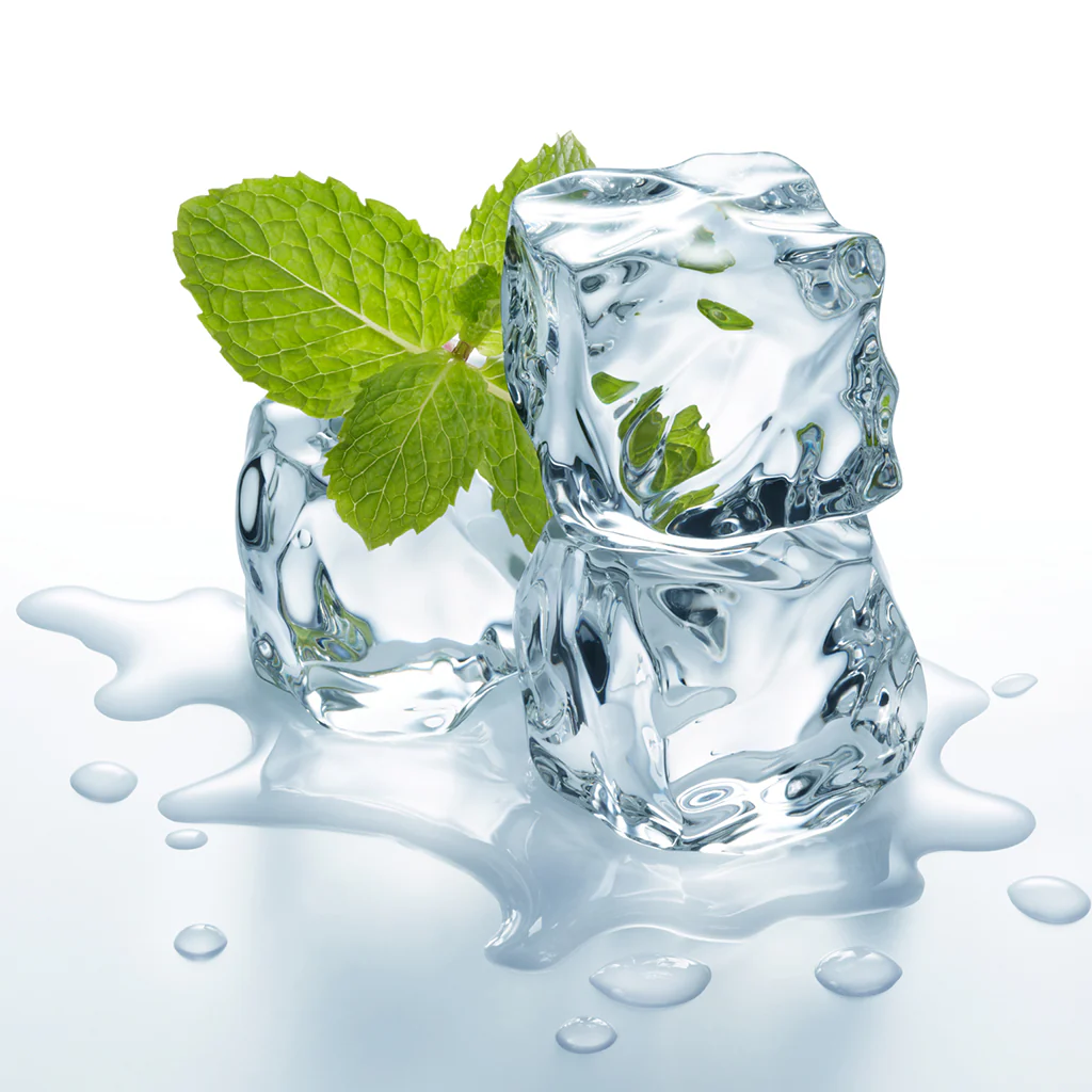 Doublemint - Sweetened Flavor Oil 813