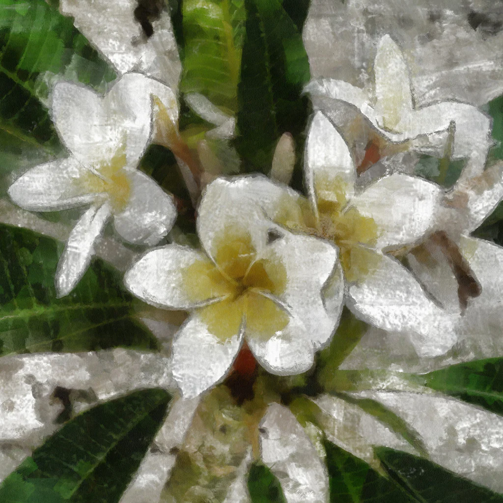 Egyptian Jasmine Fragrance Oil (Special Order)