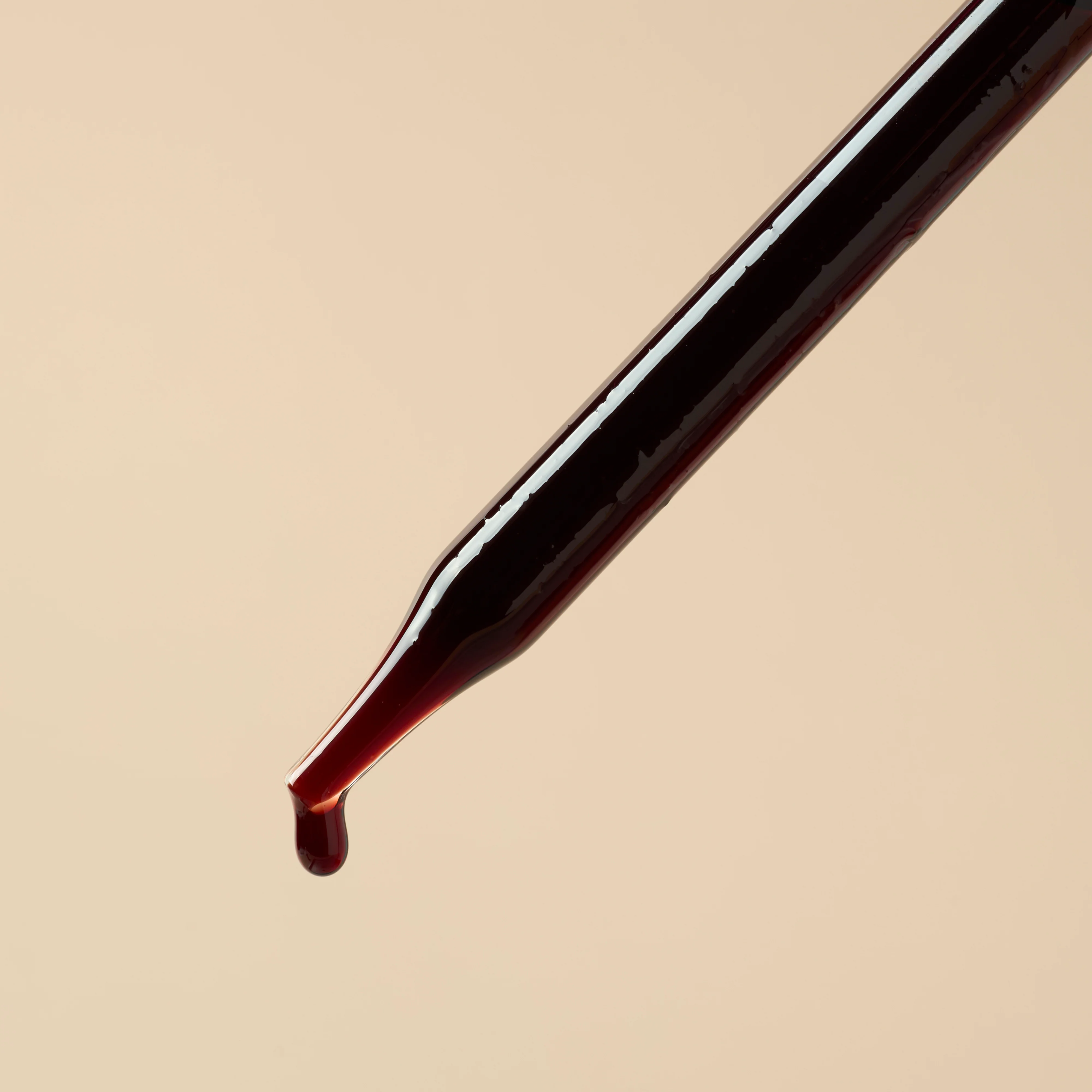 Elderberry Extract - Water Soluble - Image 2