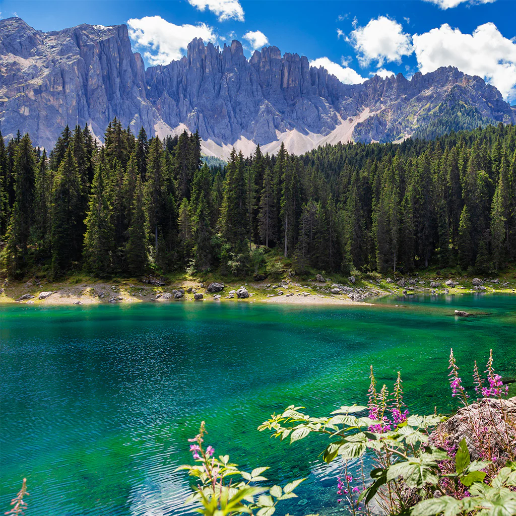 Emerald Waters Fragrance Oil 337