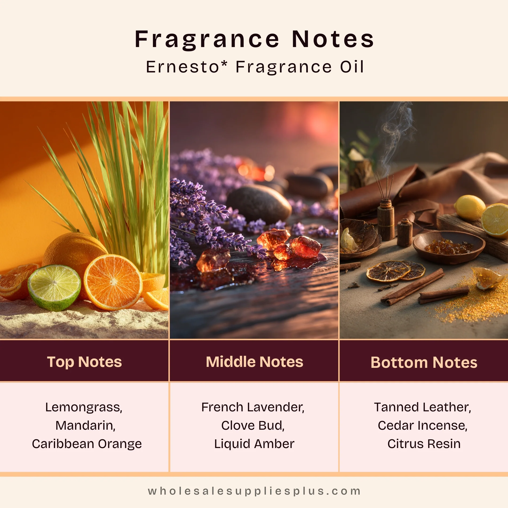 Ernesto* Fragrance Oil 833 - Image 2