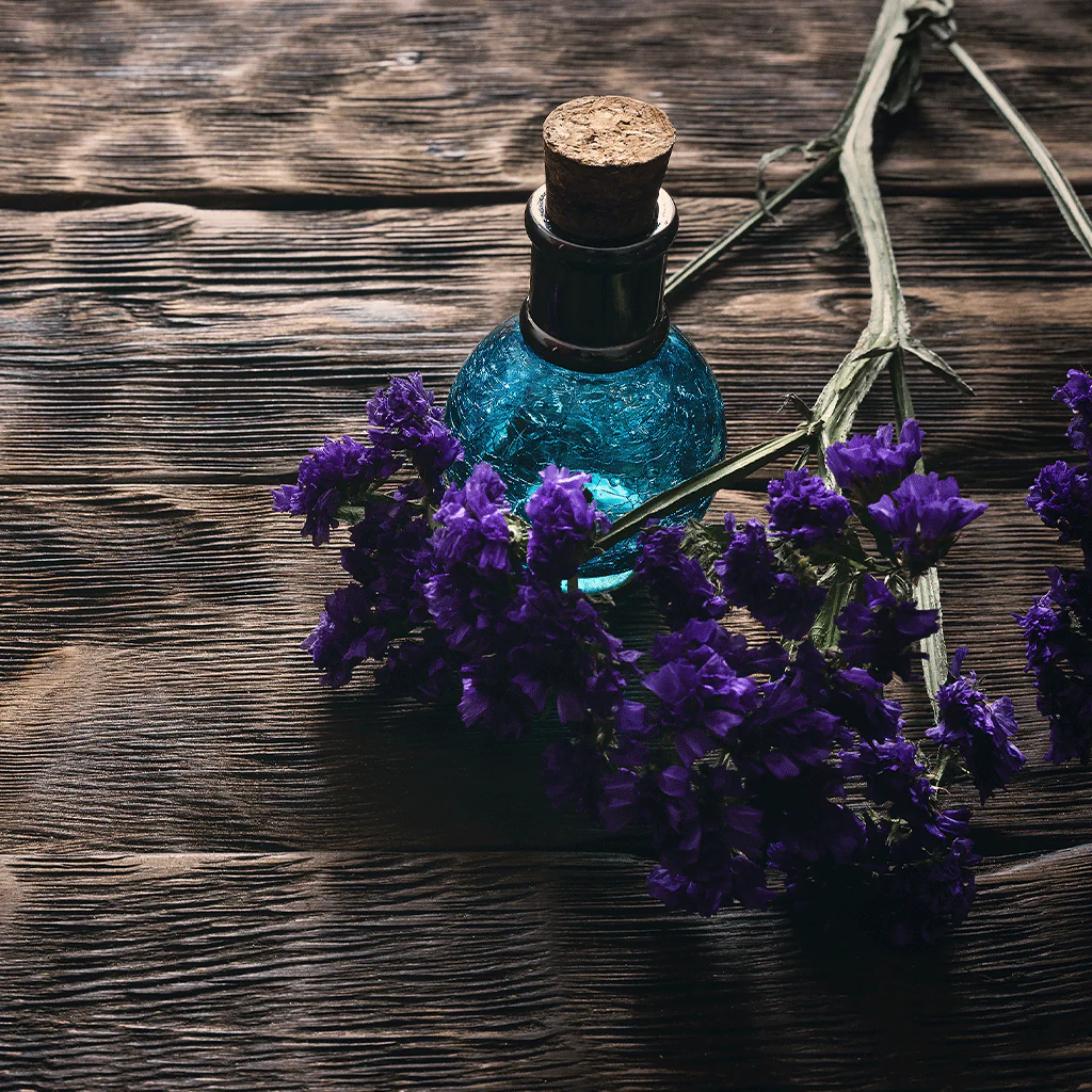 Essence of Nightshade Fragrance Oil 1114