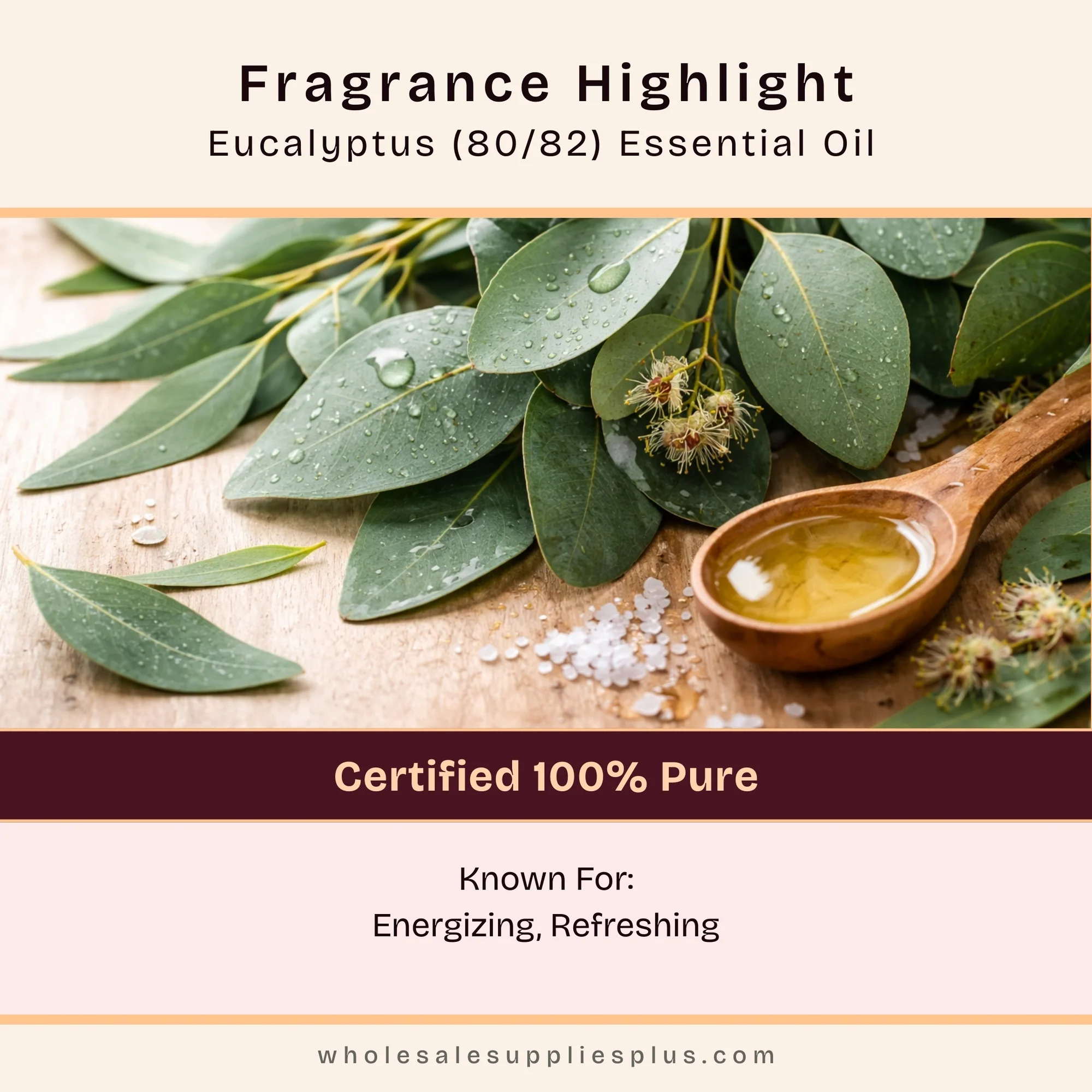 Eucalyptus (80/82) Essential Oil - 100% Pure 705 - Image 2