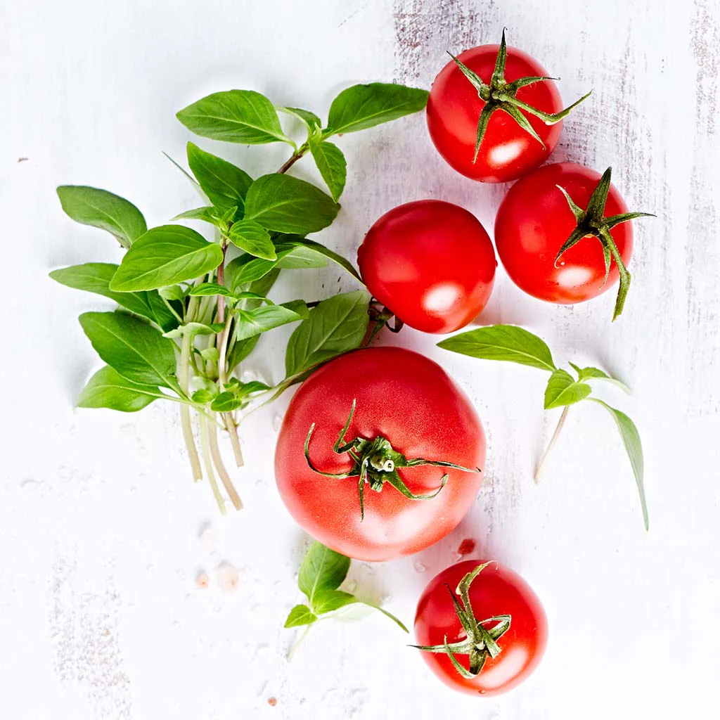 Fresh Basil & Heirloom Tomato Fragrance Oil (Special Order)
