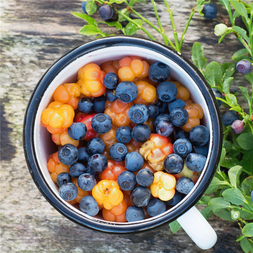 Huckleberry & Mandarin Fragrance Oil (Special Order)
