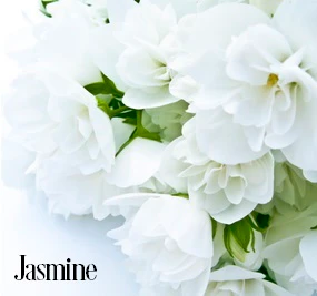 Jasmine (FES) Fragrance Oil 15694