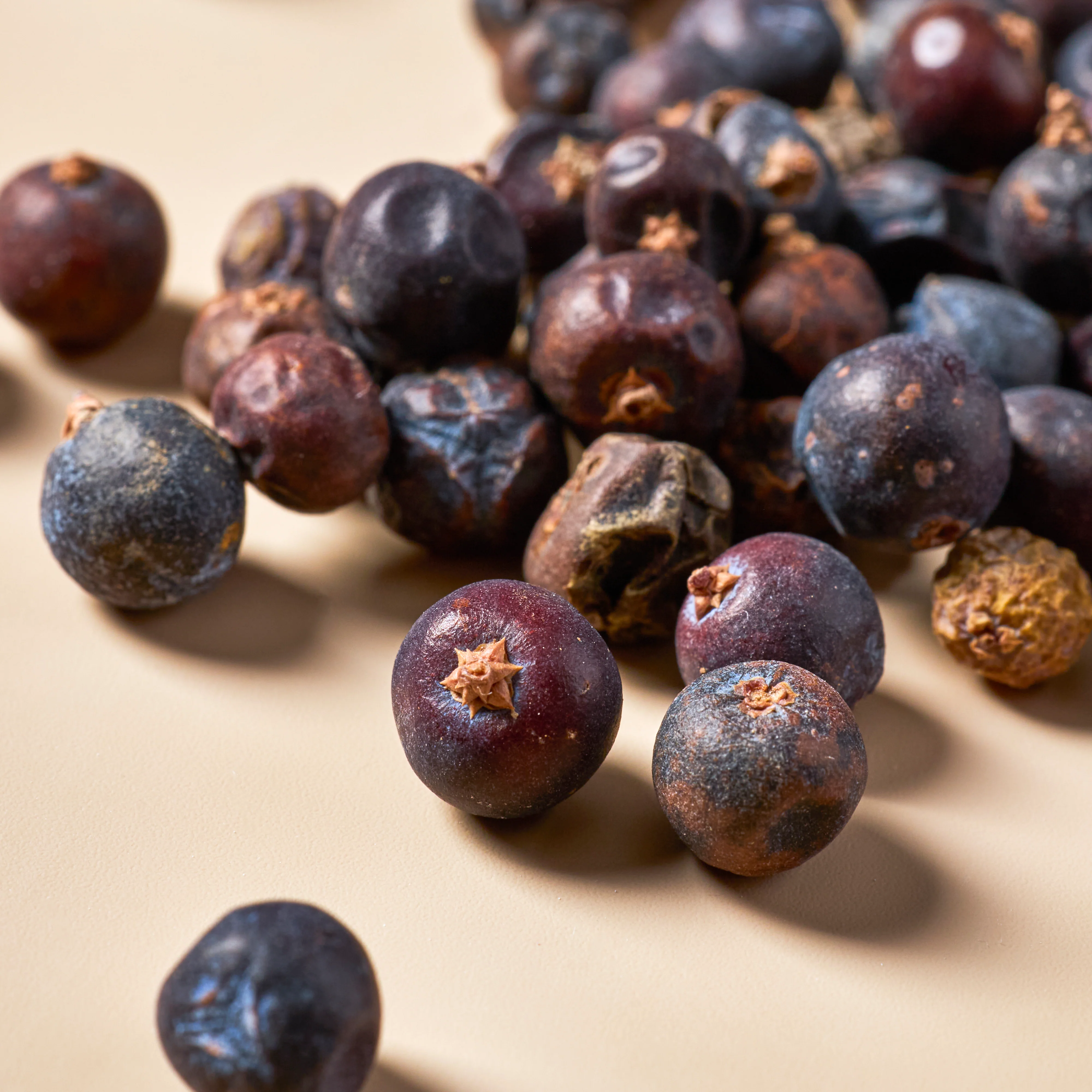 Juniper Berries (Blue) - Botanical - Image 3