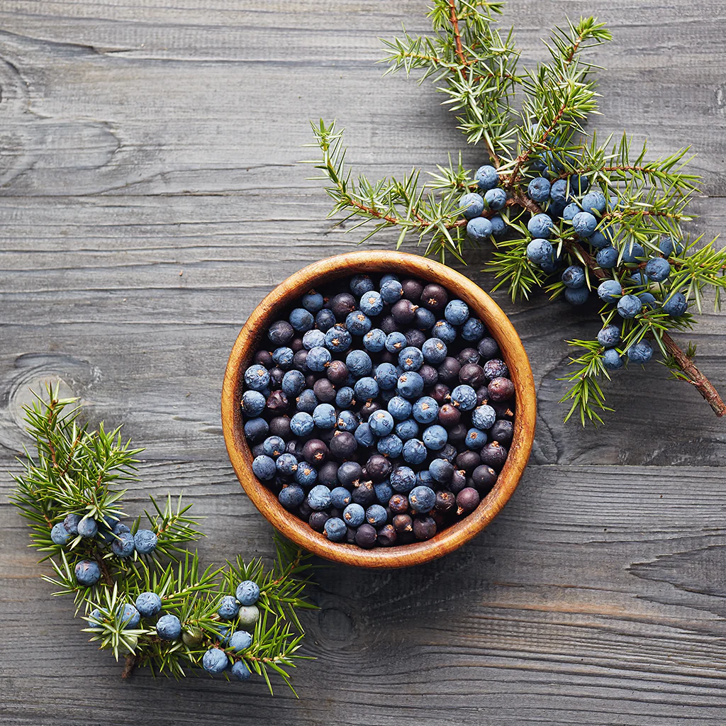 Juniper & Coriander* Fragrance Oil (Special Order)