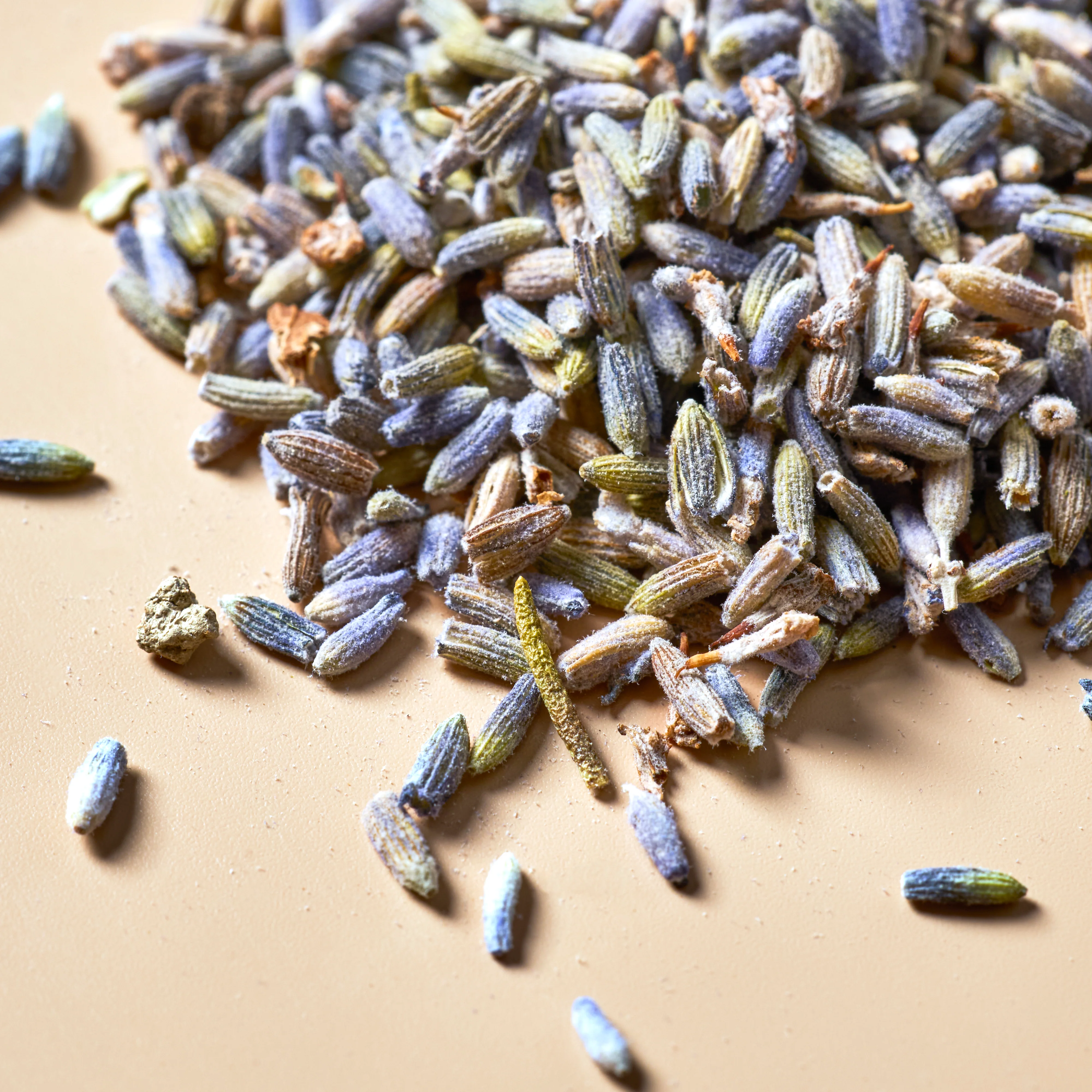 Lavender Buds - Premium Botanical - Image 3