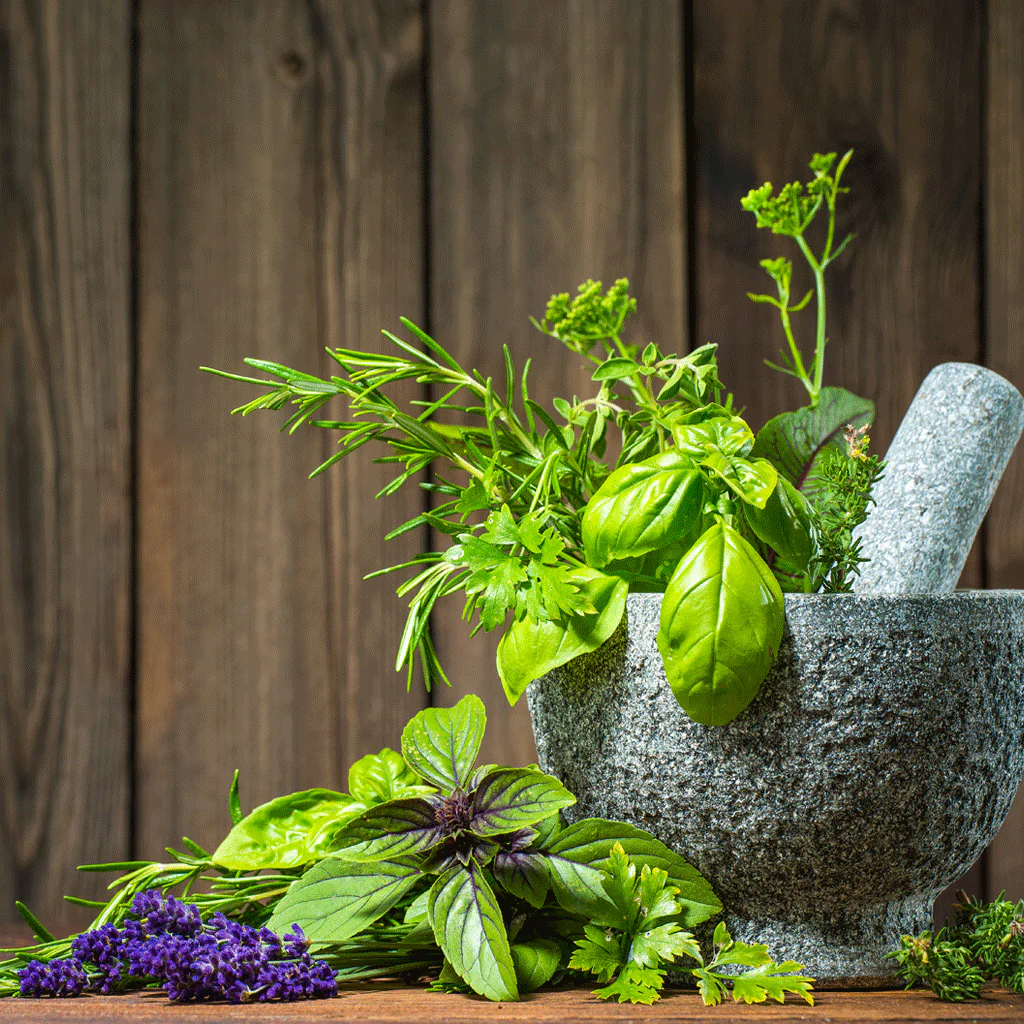 Lavender & Mint Fragrance Oil 397