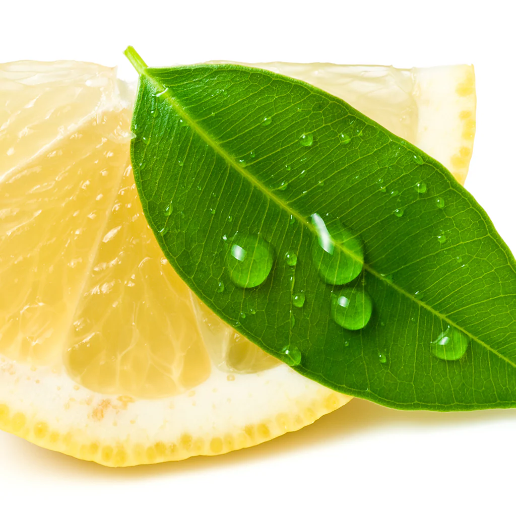 Lemon Eucalyptus Essential Oil - 100% Pure 598