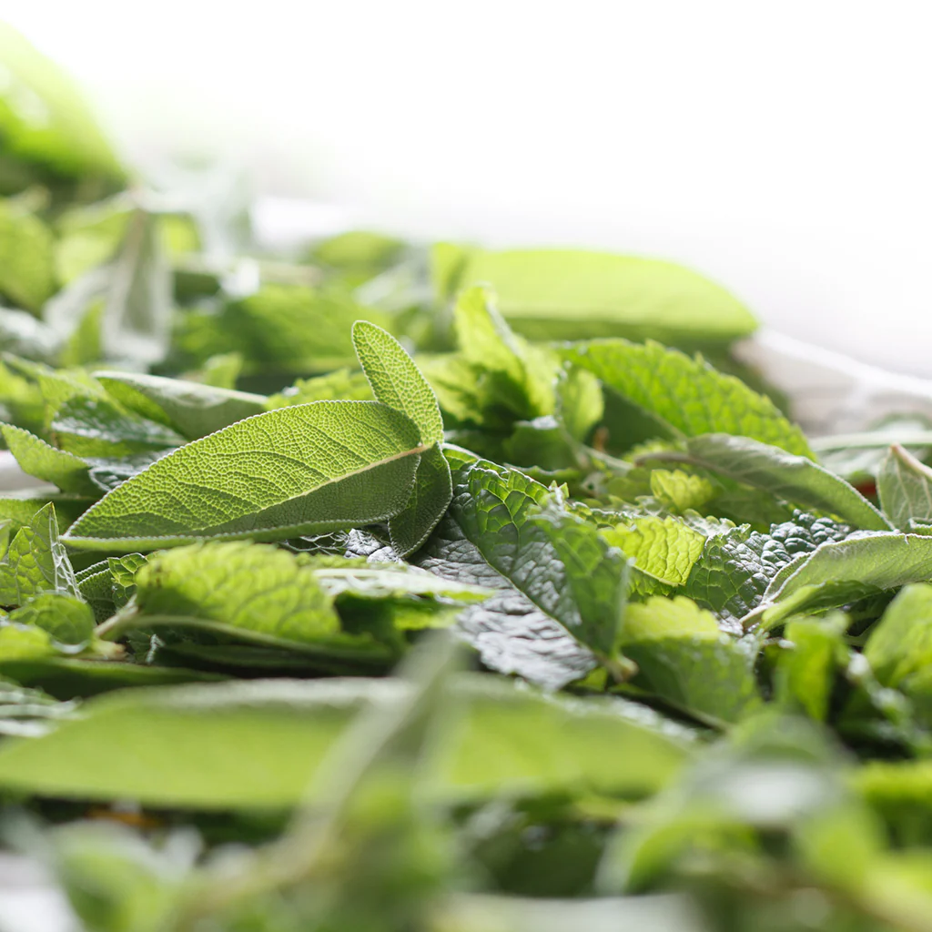 Lemongrass Sage* Fragrance Oil 160