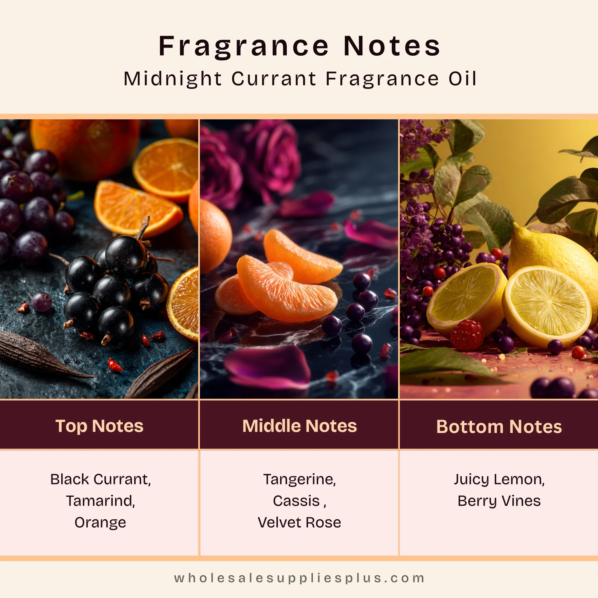 Midnight Currant Fragrance Oil 1243 - Image 2
