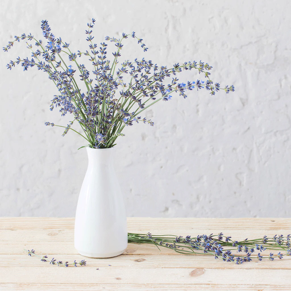 Modern Lavender Fragrance Oil 1157