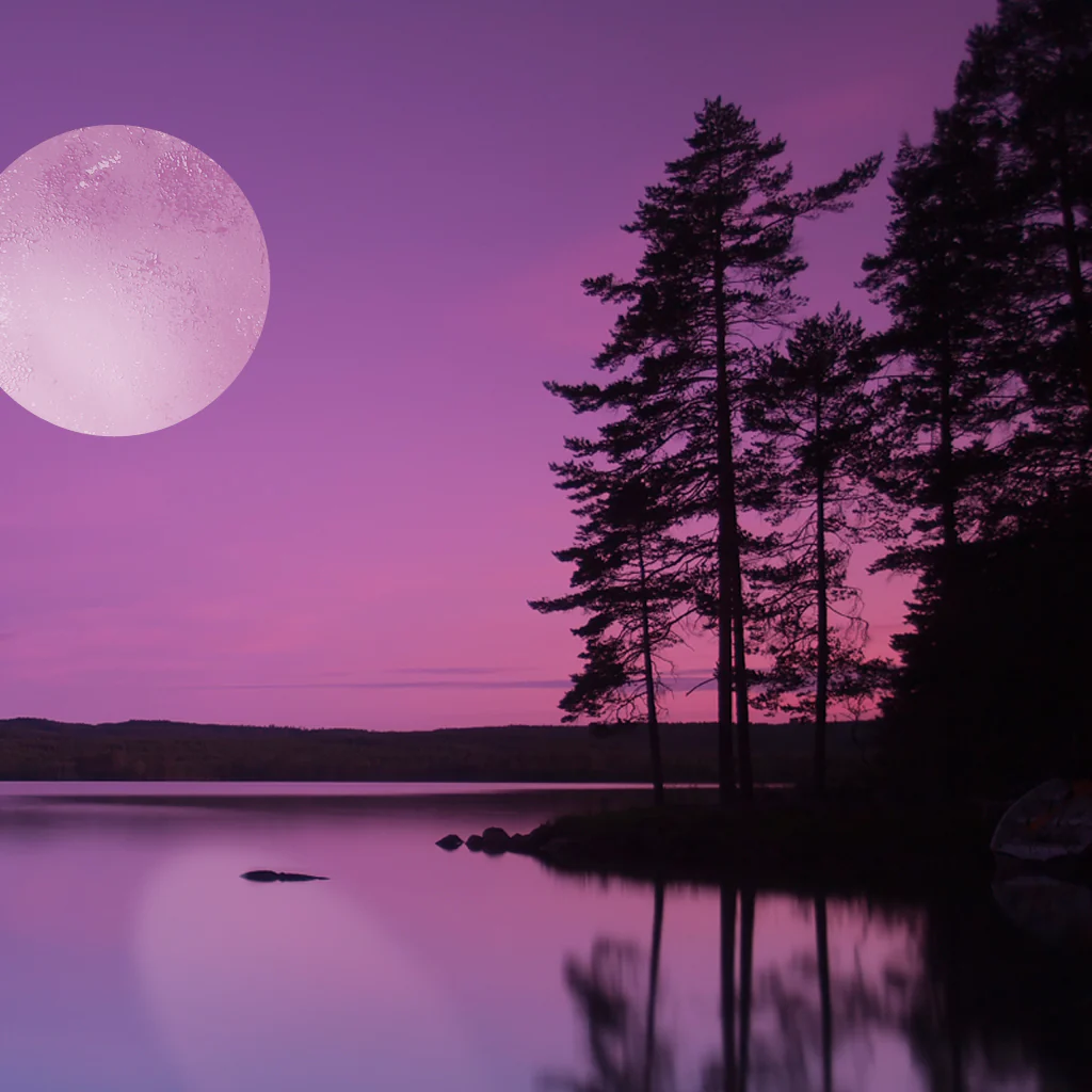 Moonlight Path* Fragrance Oil 316