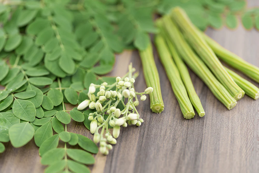Moringa Fragrance Oil 15846