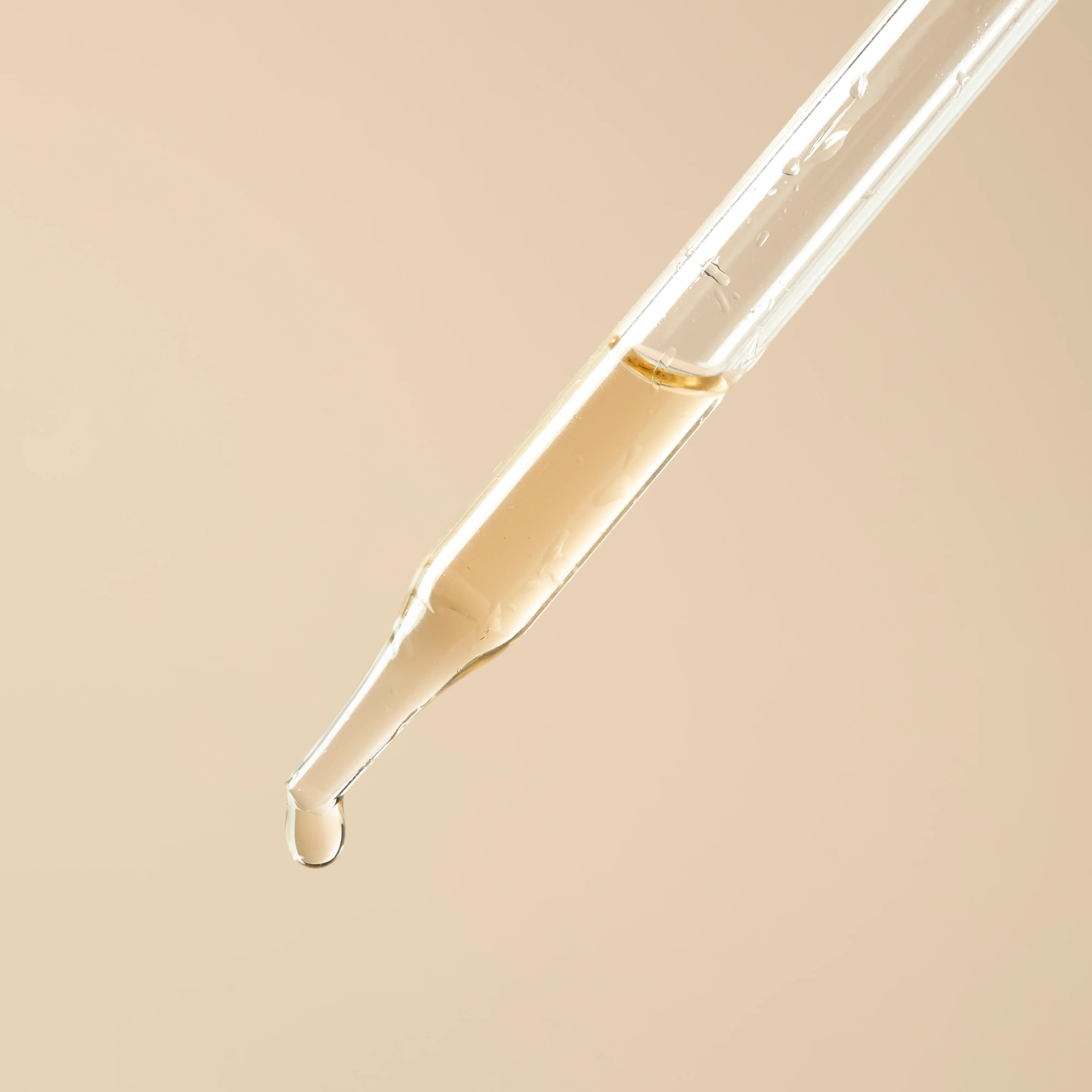Mugwort Extract - Water Soluble - Image 2