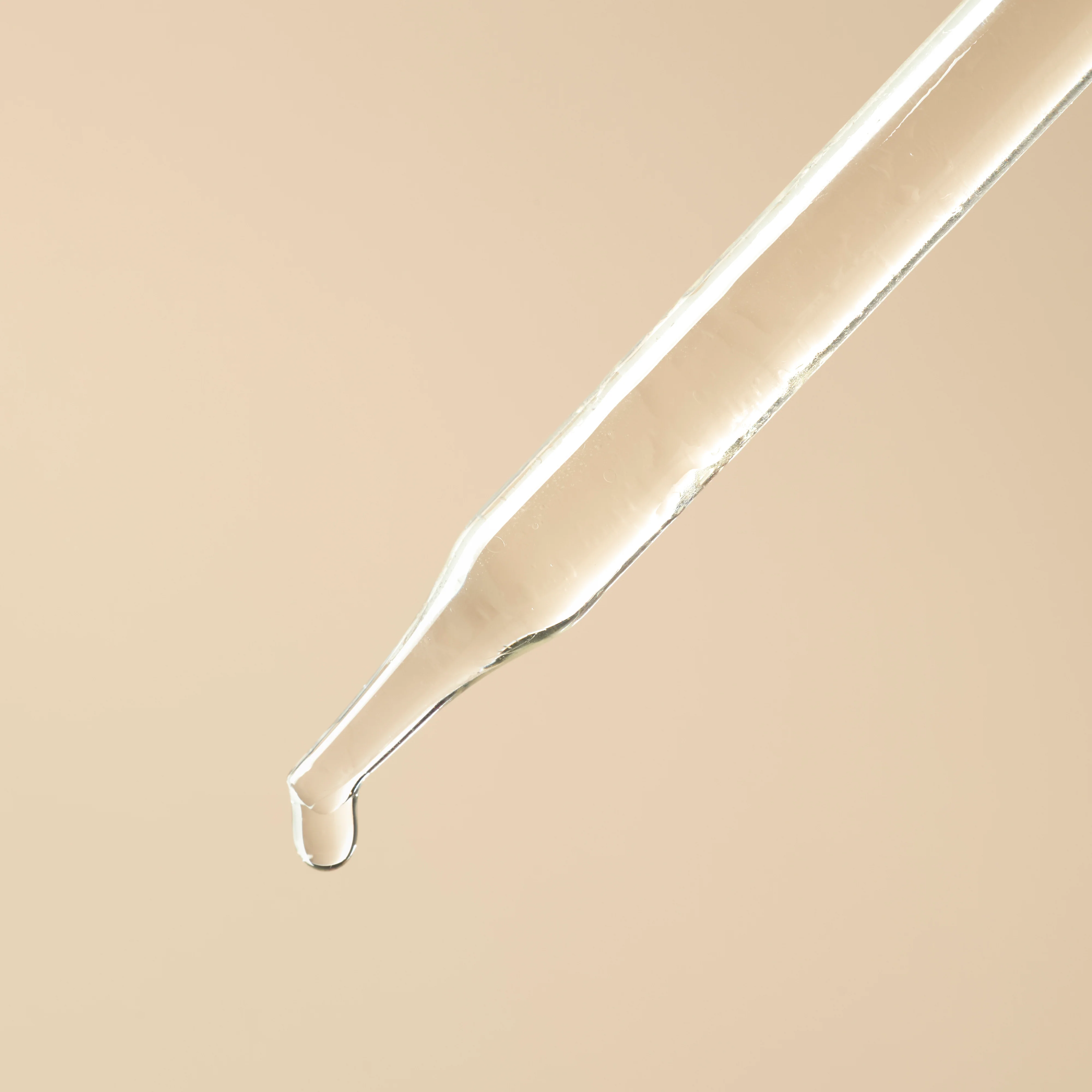 Mushroom Extract - Water Soluble - Image 2