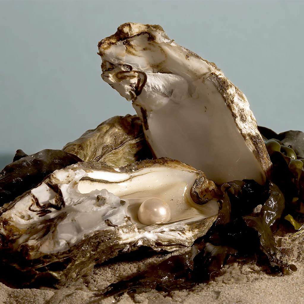Ocean Pearls Fragrance Oil (Special Order)