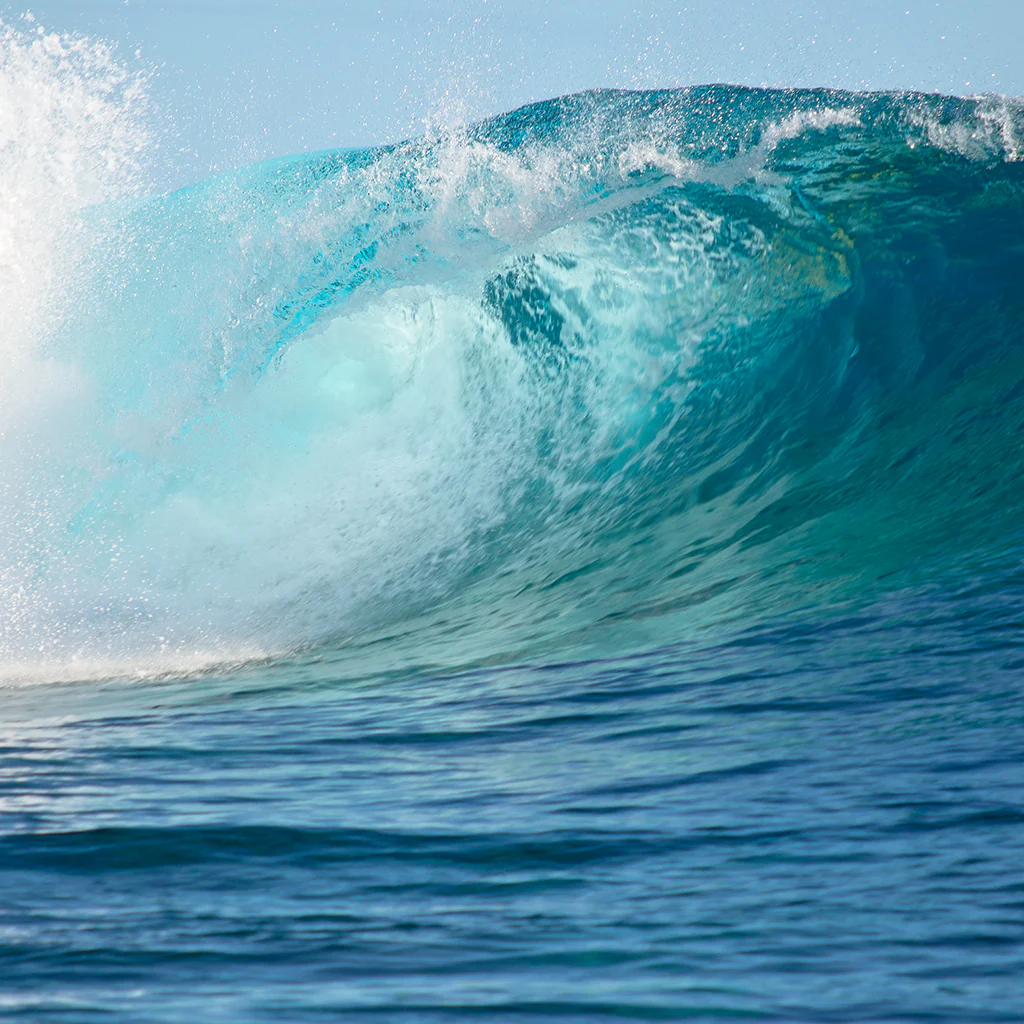 On the Waves* Fragrance Oil (Special Order)