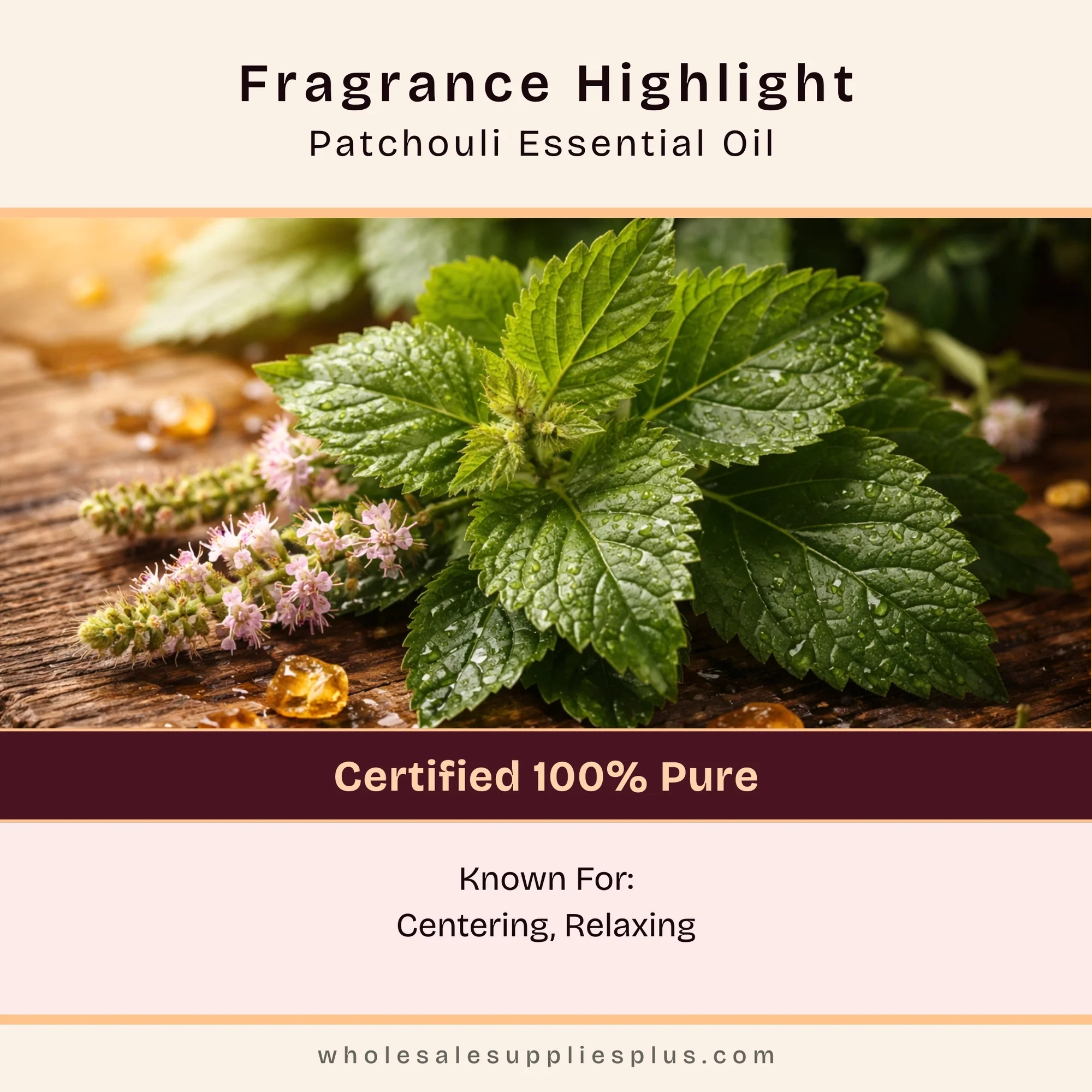 Patchouli Essential Oil - 100% Pure 711 - Image 2