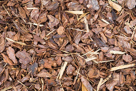 Patchouli Oud Wood Fragrance Oil 15933