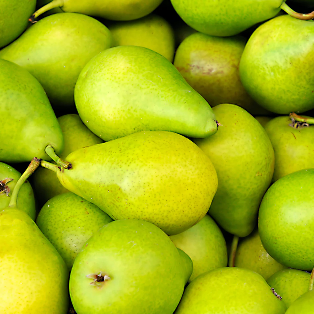 Pear Fragrance Oil - FF# 27 (Special Order)