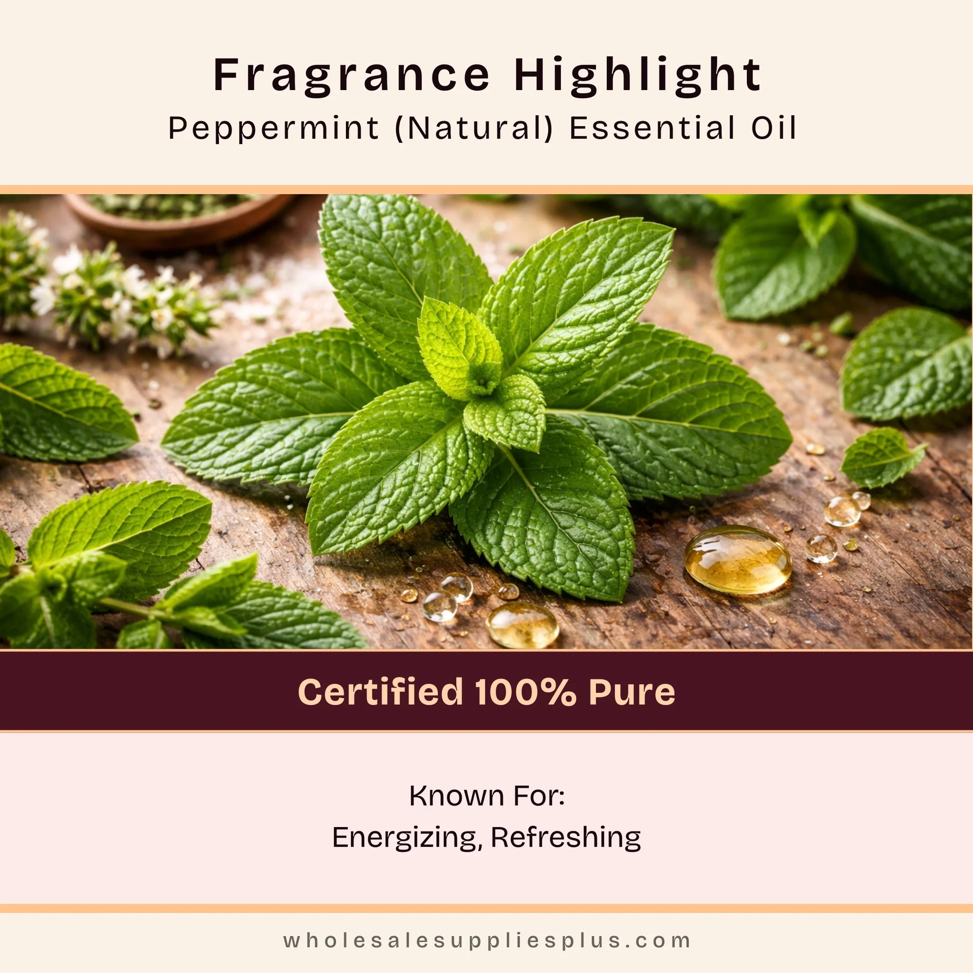 Peppermint (Natural) Essential Oil - 100% Pure 712 - Image 2