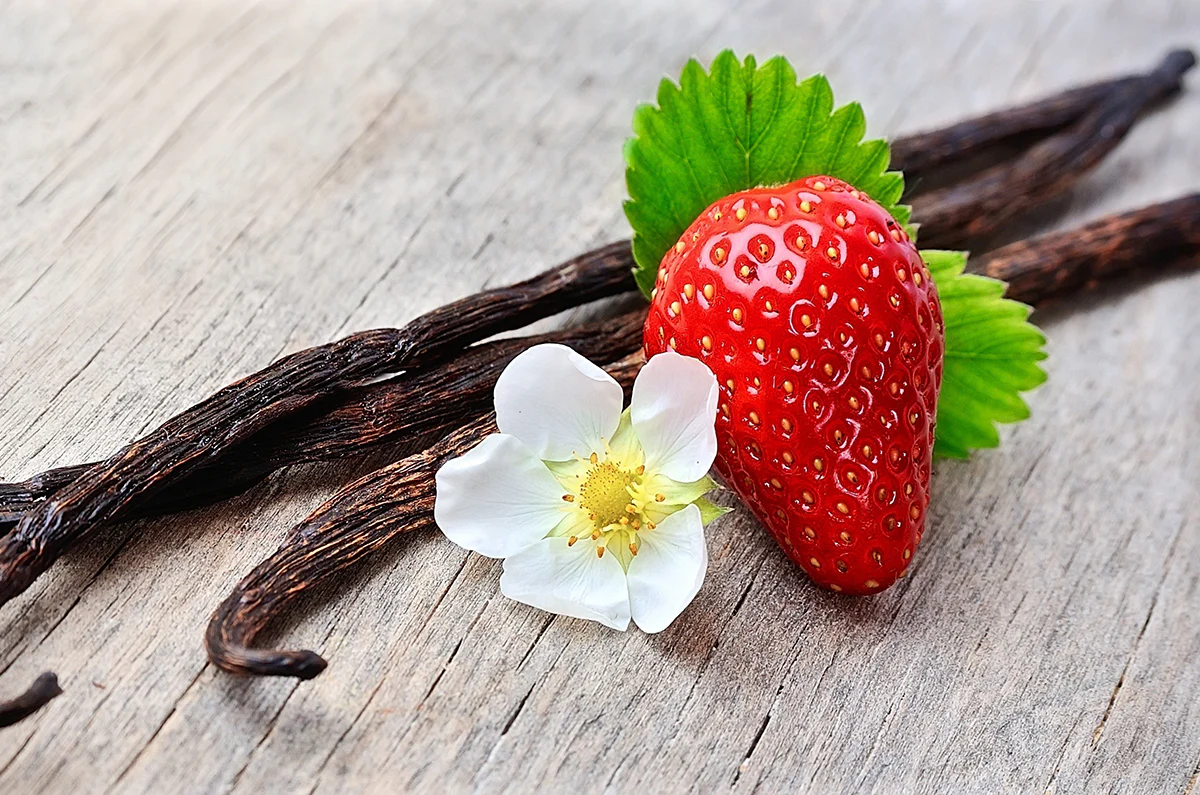 Pink Berry & Tonka Bean Fragrance Oil 15979