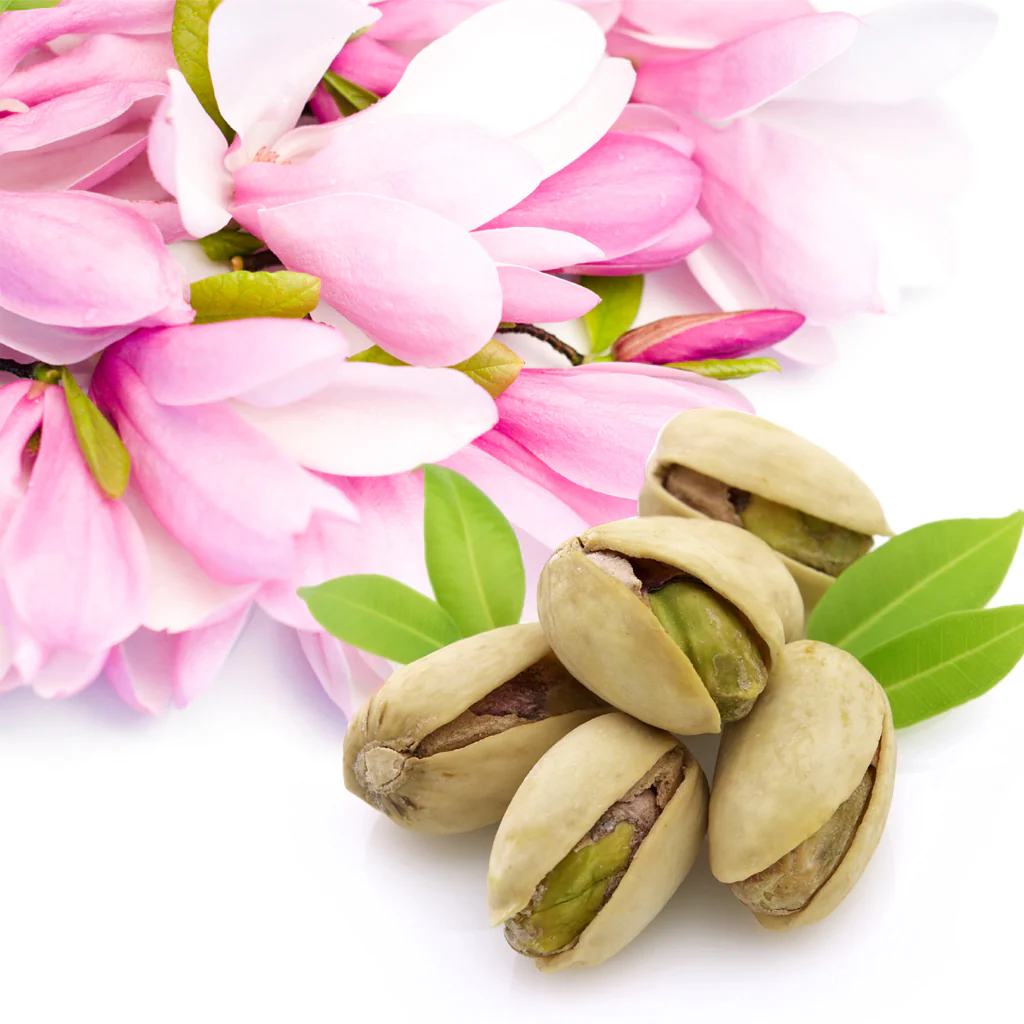 Pistachio & Magnolia* Fragrance Oil 204