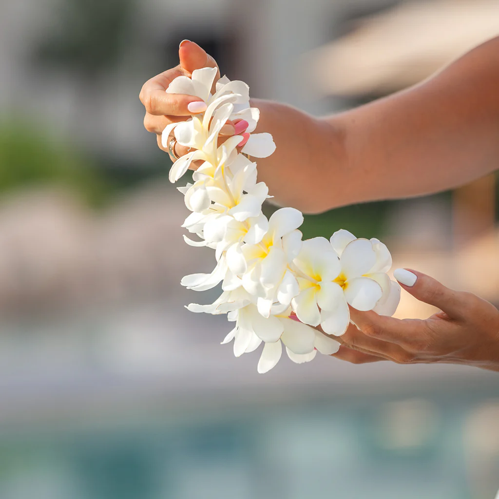Plumeria* Fragrance Oil 459