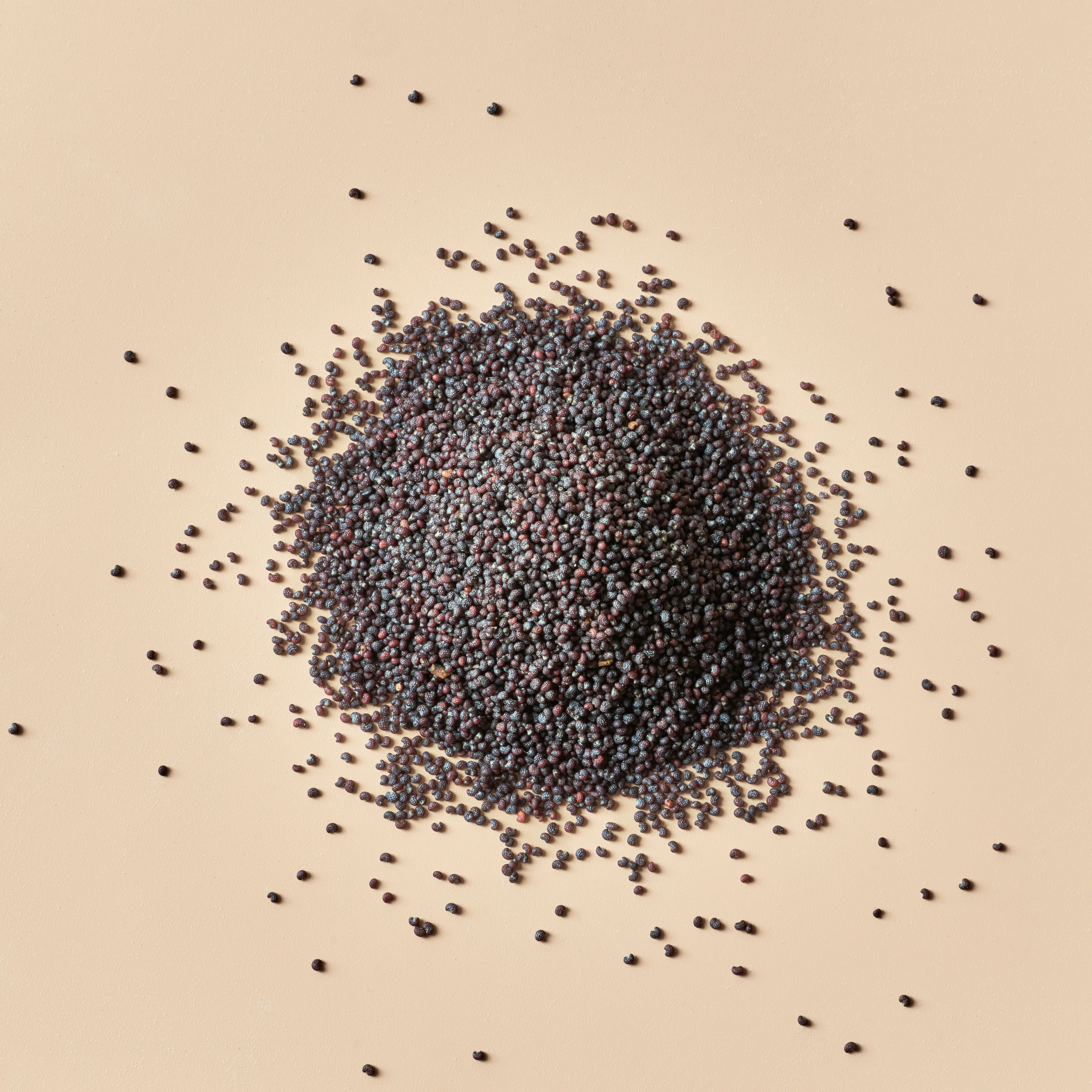 Poppy Seeds