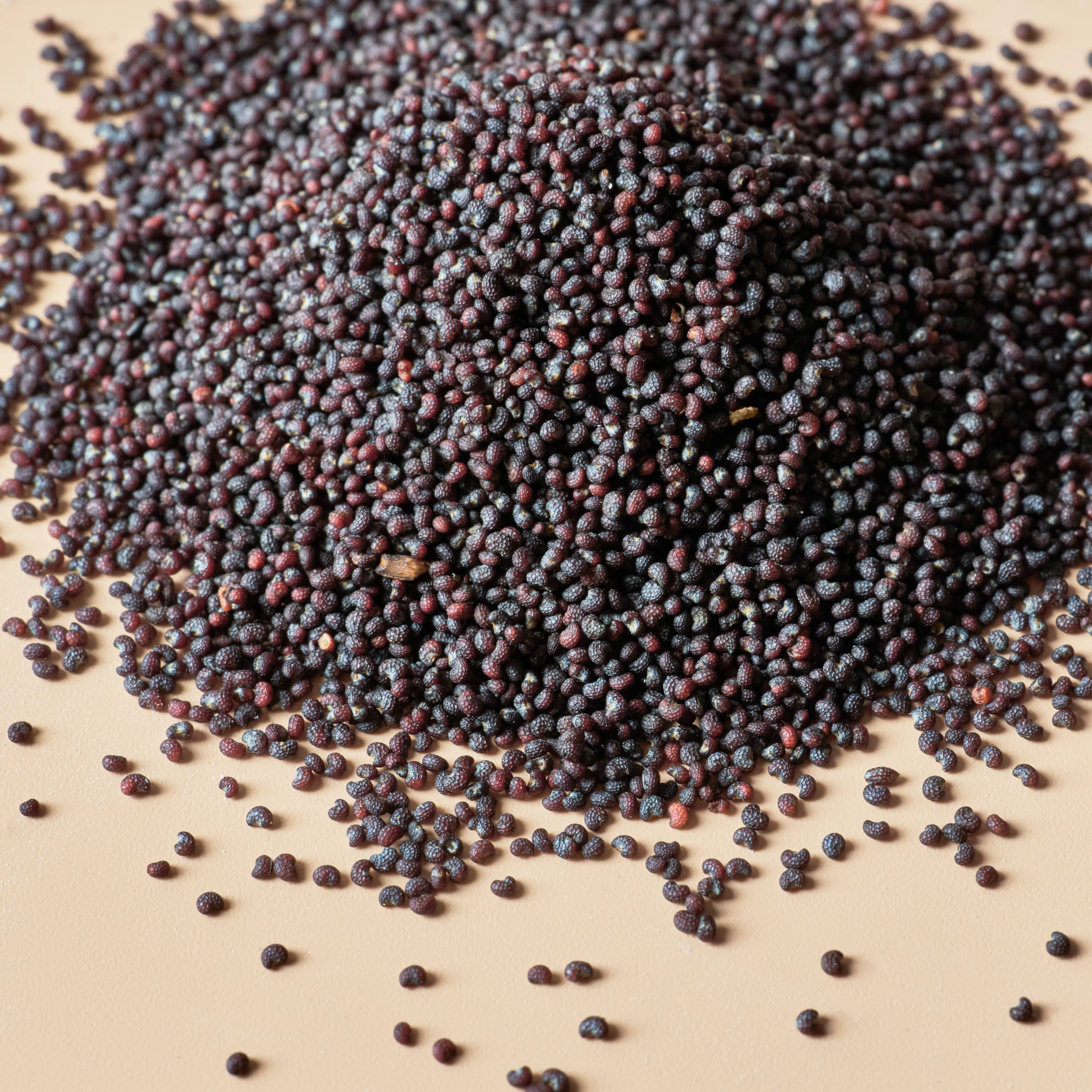Poppy Seeds - Image 2