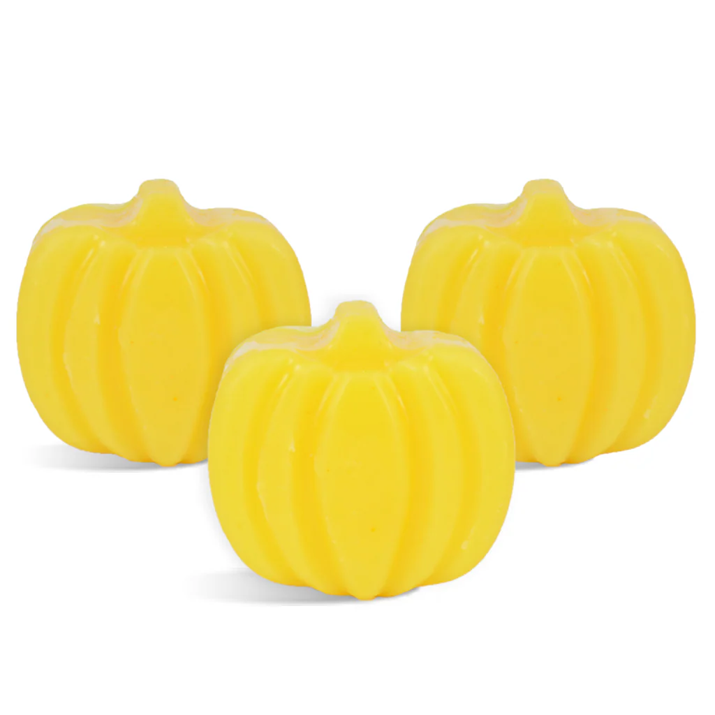Pumpkin Lotion Bar Kit