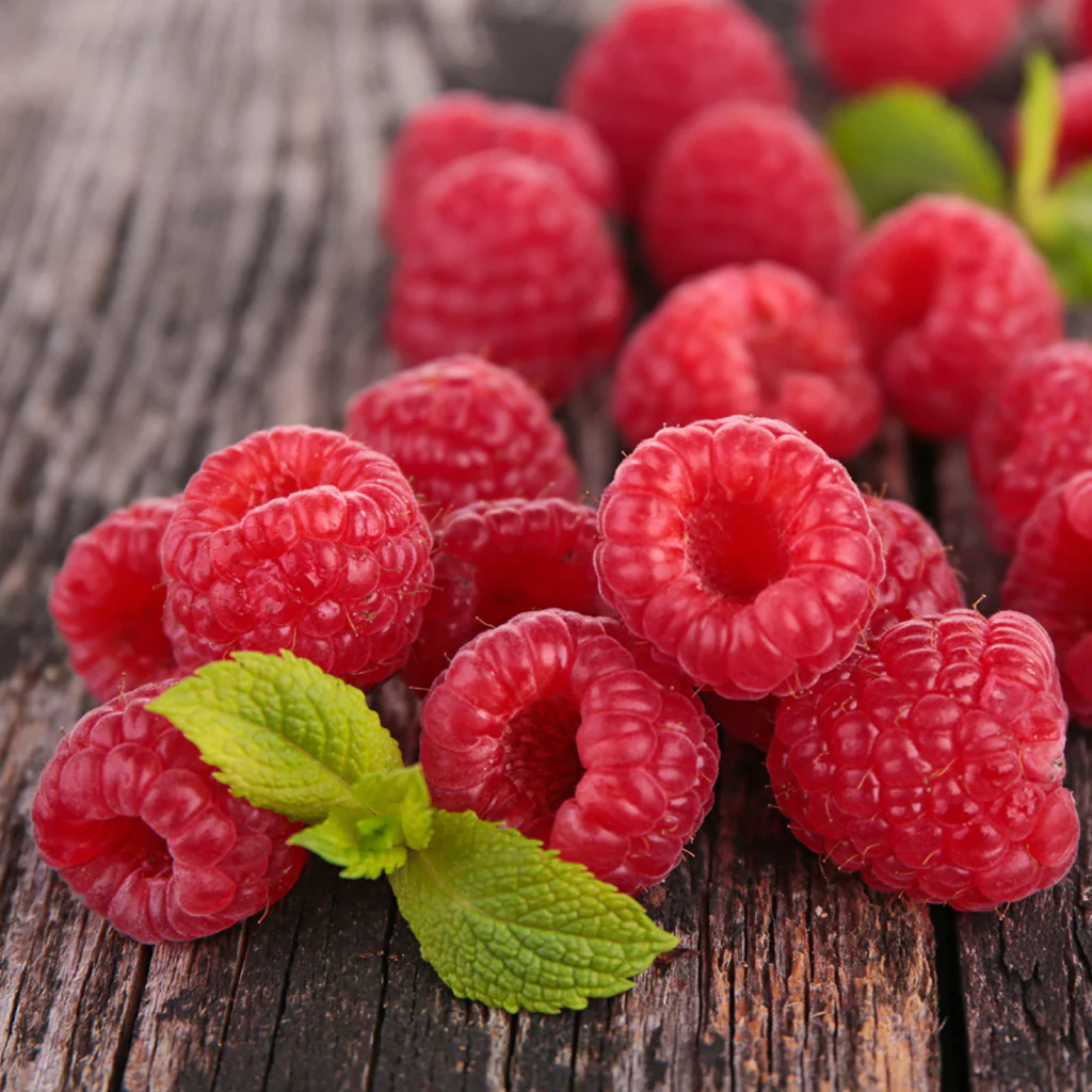 Raspberry Blitz Fragrance Oil (Special Order)